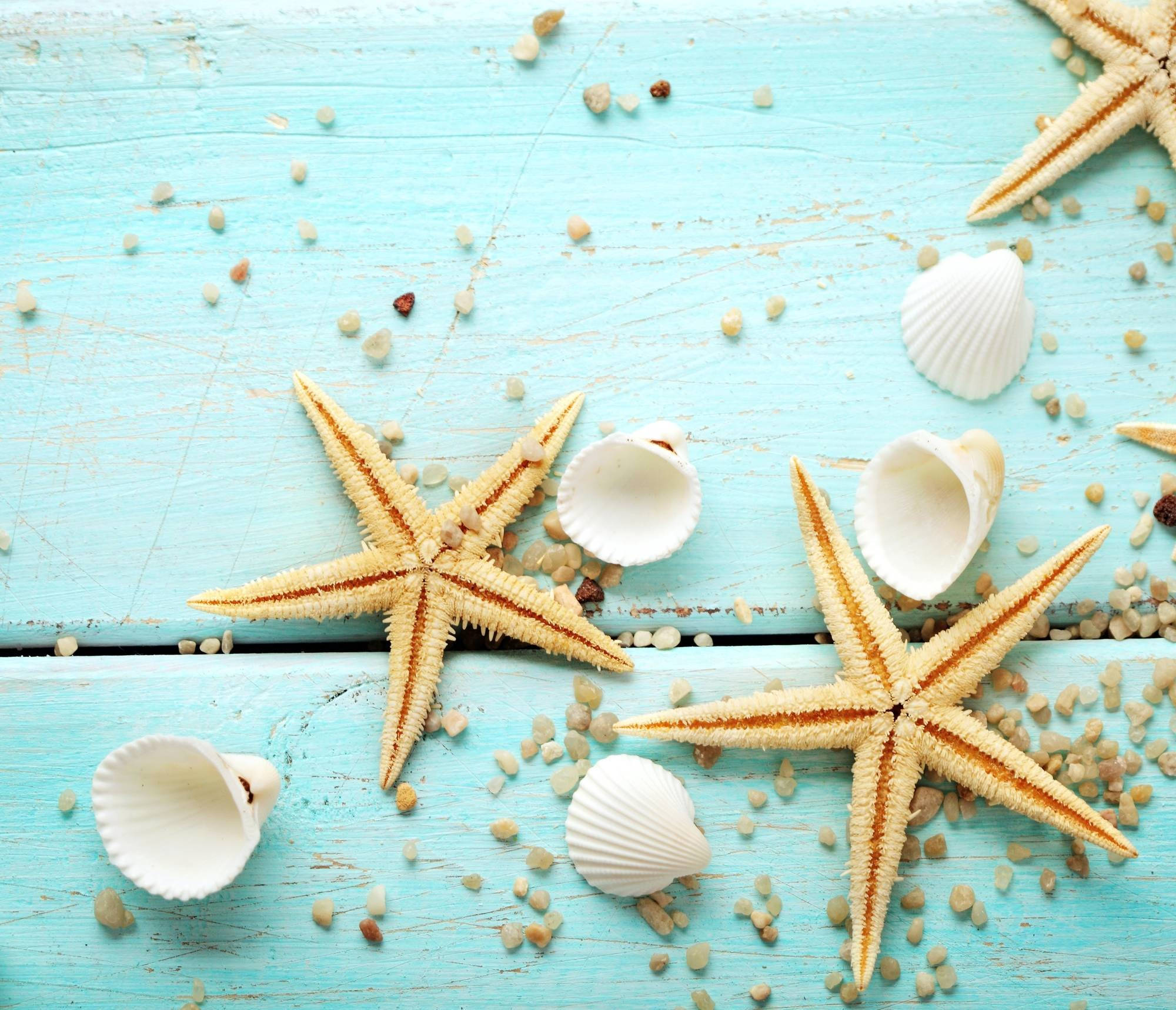 light brown starfish, white sea shells, weathered turquoise wooden planks, Full HD Desktop Wallpaper