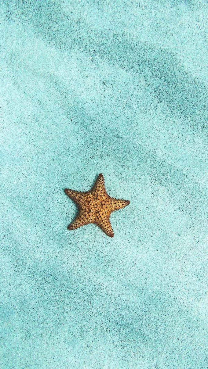 turquoise, orange starfish, textured turquoise sand, SD Phone Wallpaper