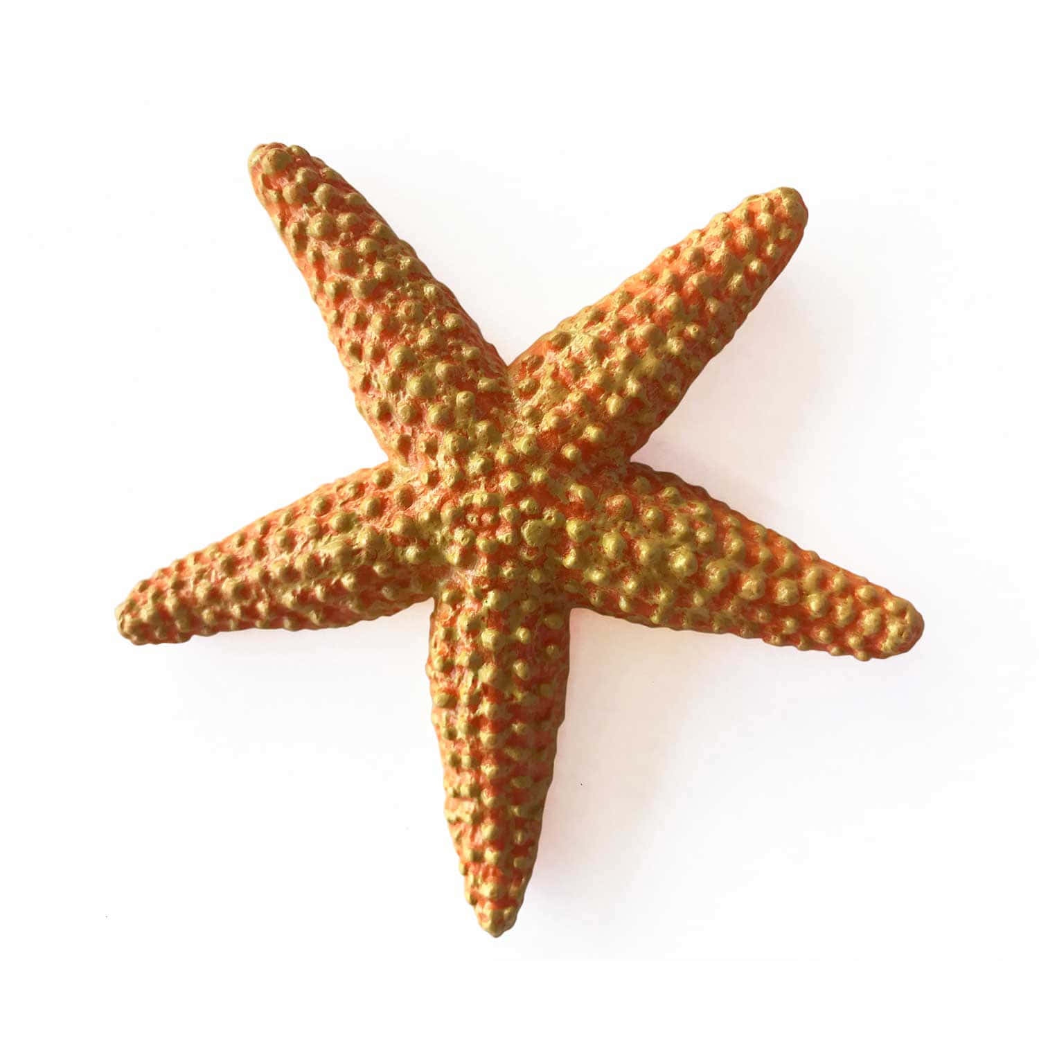 orange textured starfish, bumpy surface, orange and gold, HD Desktop Wallpaper