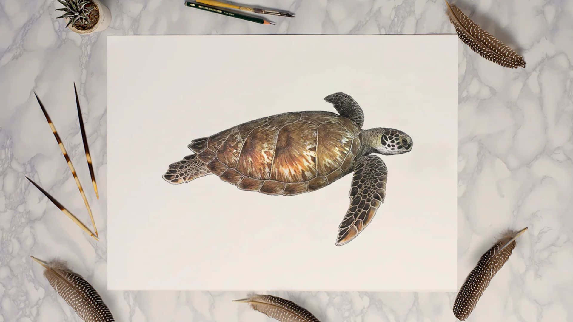 sea turtle, watercolor art, colored pencil drawing, Full HD Desktop Wallpaper
