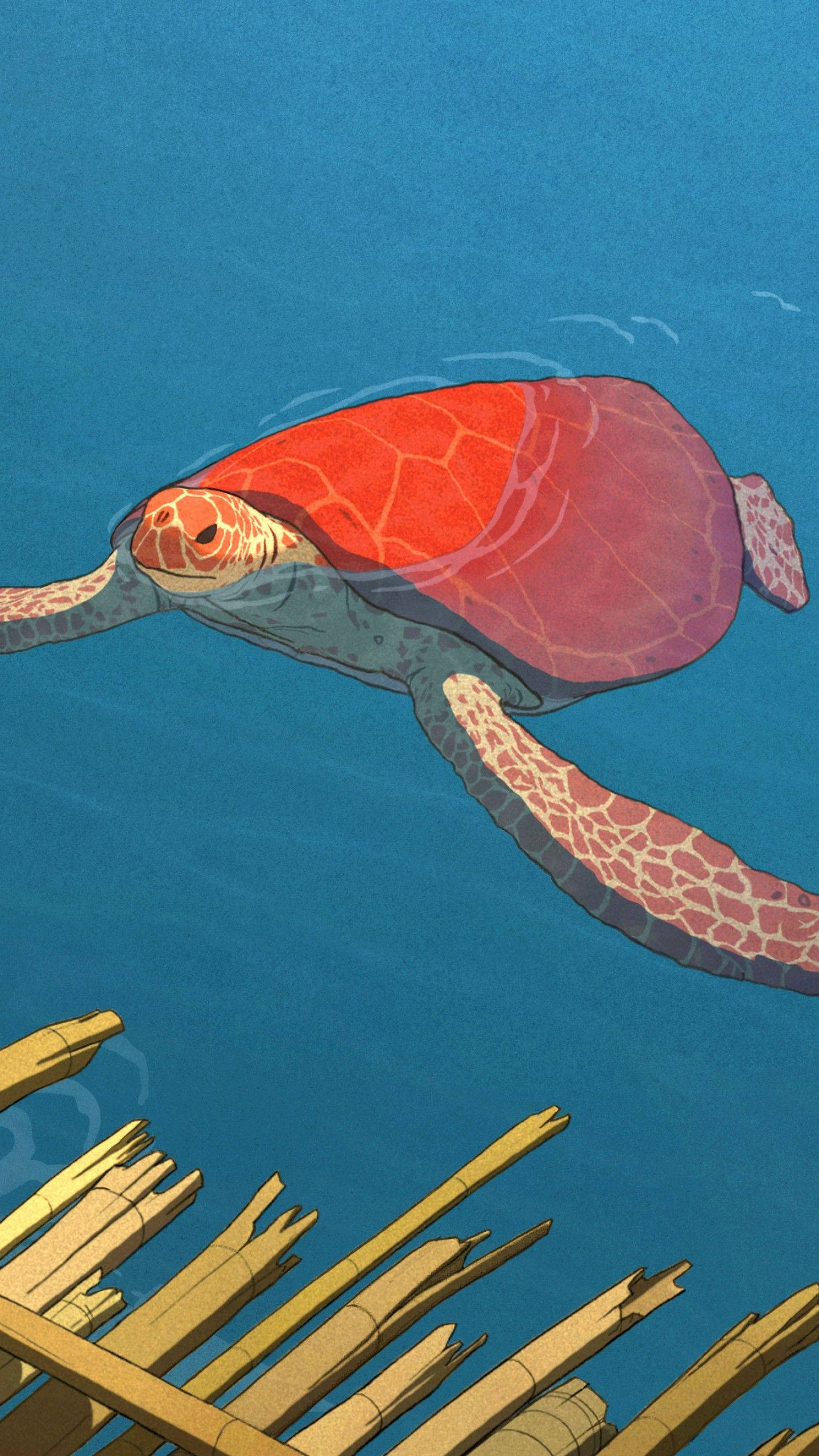 sea turtle, ocean, wooden pier, 2K Phone Wallpaper