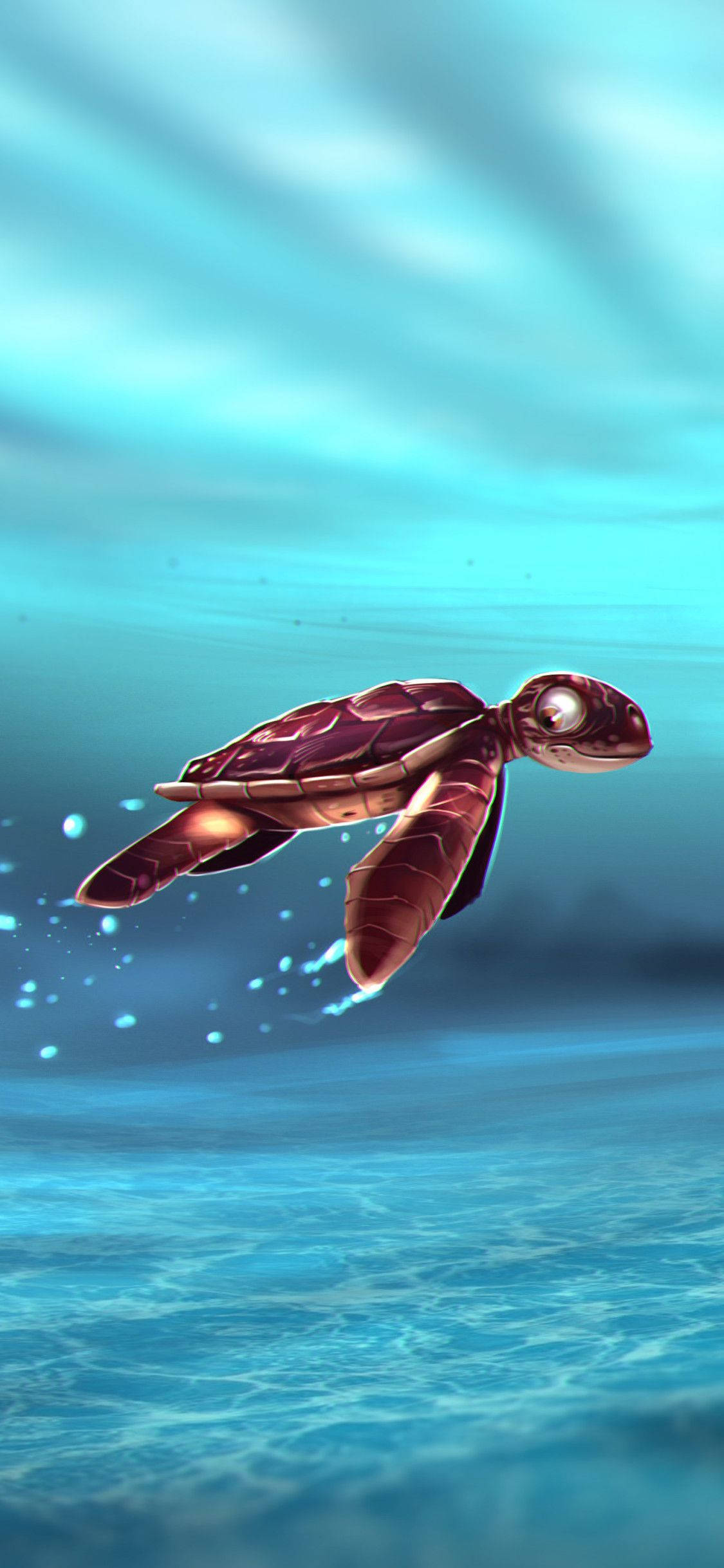 sea turtle, red turtle, turquoise ocean waters, Full HD Phone Wallpaper