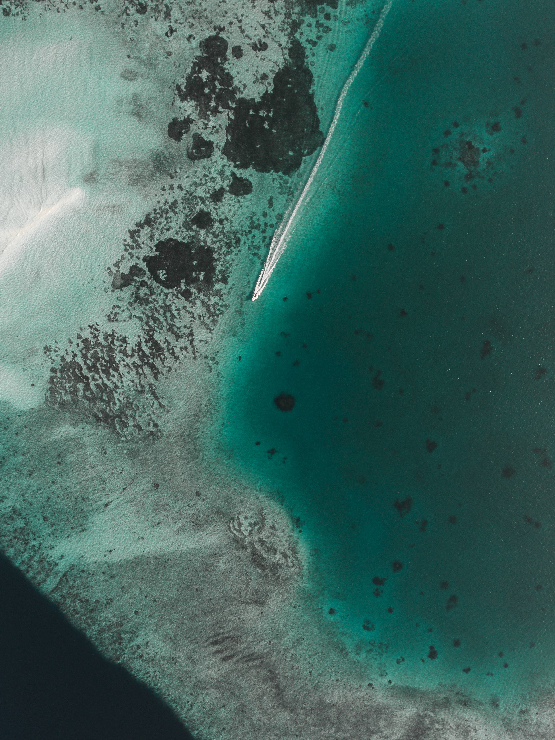 Sea HD Green, turquoise waters, coral reef, 2K Phone Wallpaper