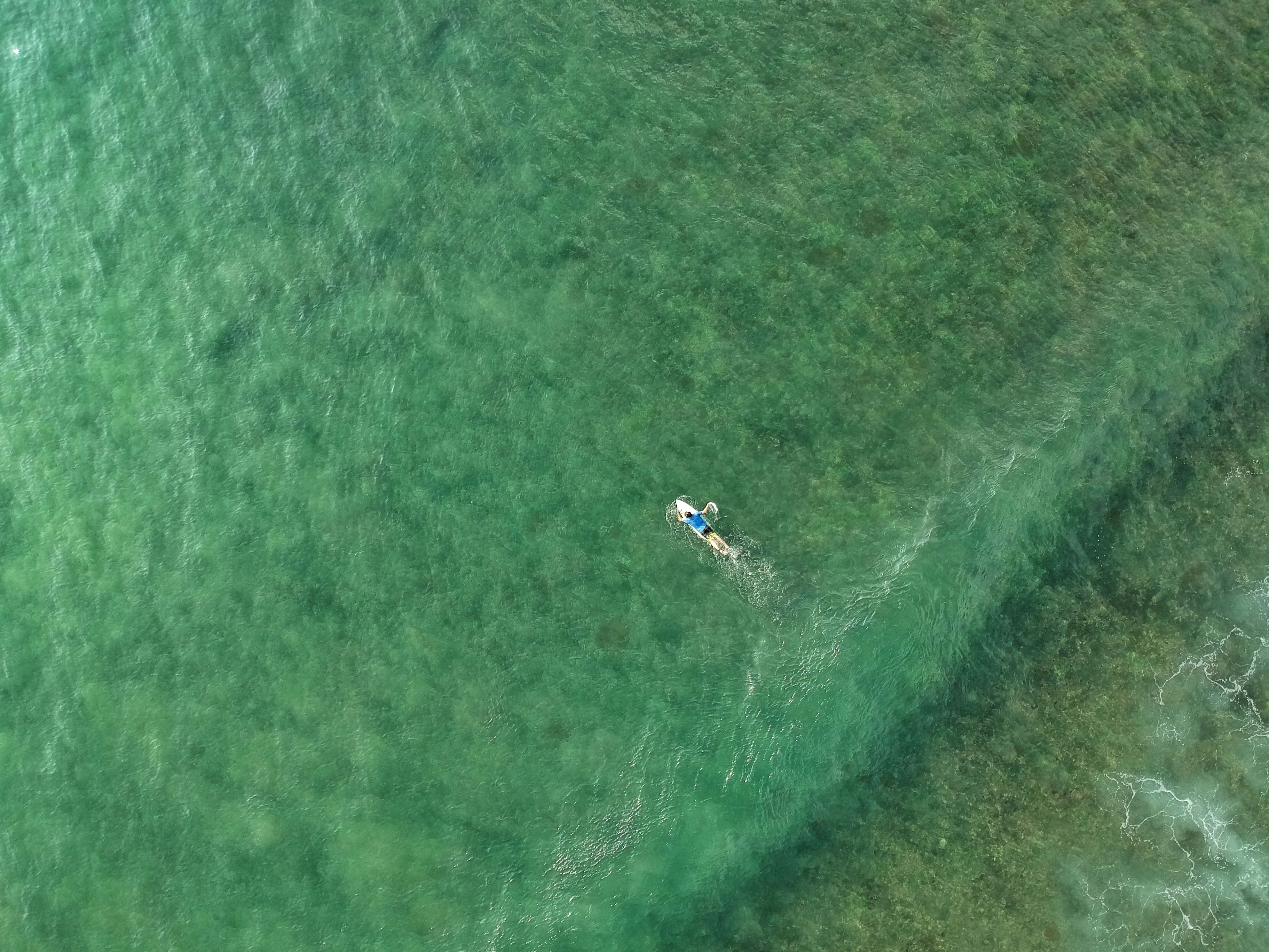 Seafoam Green, turquoise waters, coral reef patterns, 4K Desktop Wallpaper