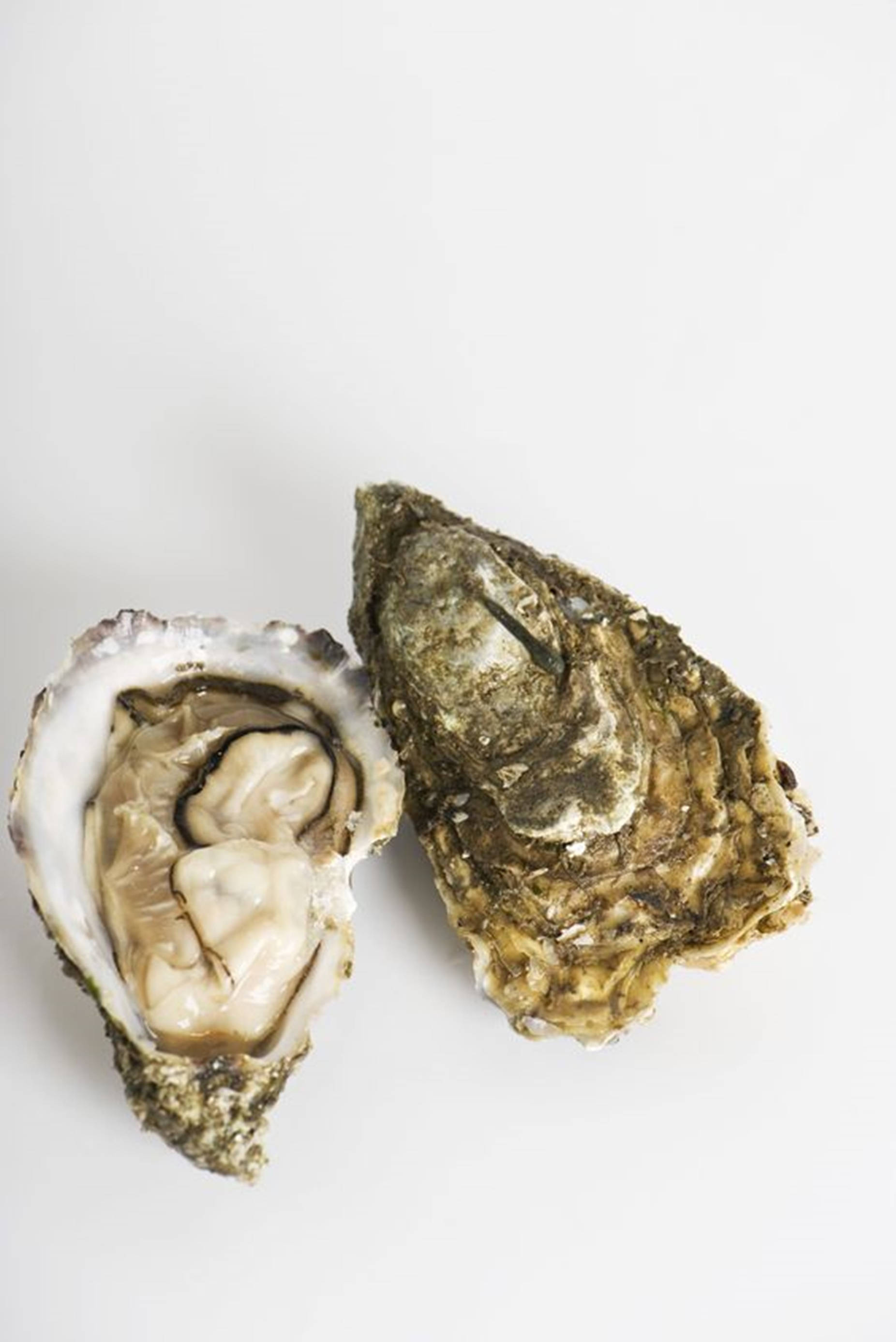 minimalist two oysters, two oysters, creamy flesh, 2K Phone Wallpaper