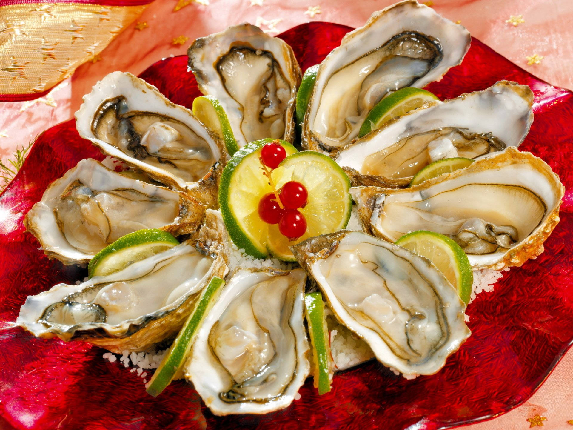 Seafood, fresh oyster, half shell, Full HD Desktop Wallpaper