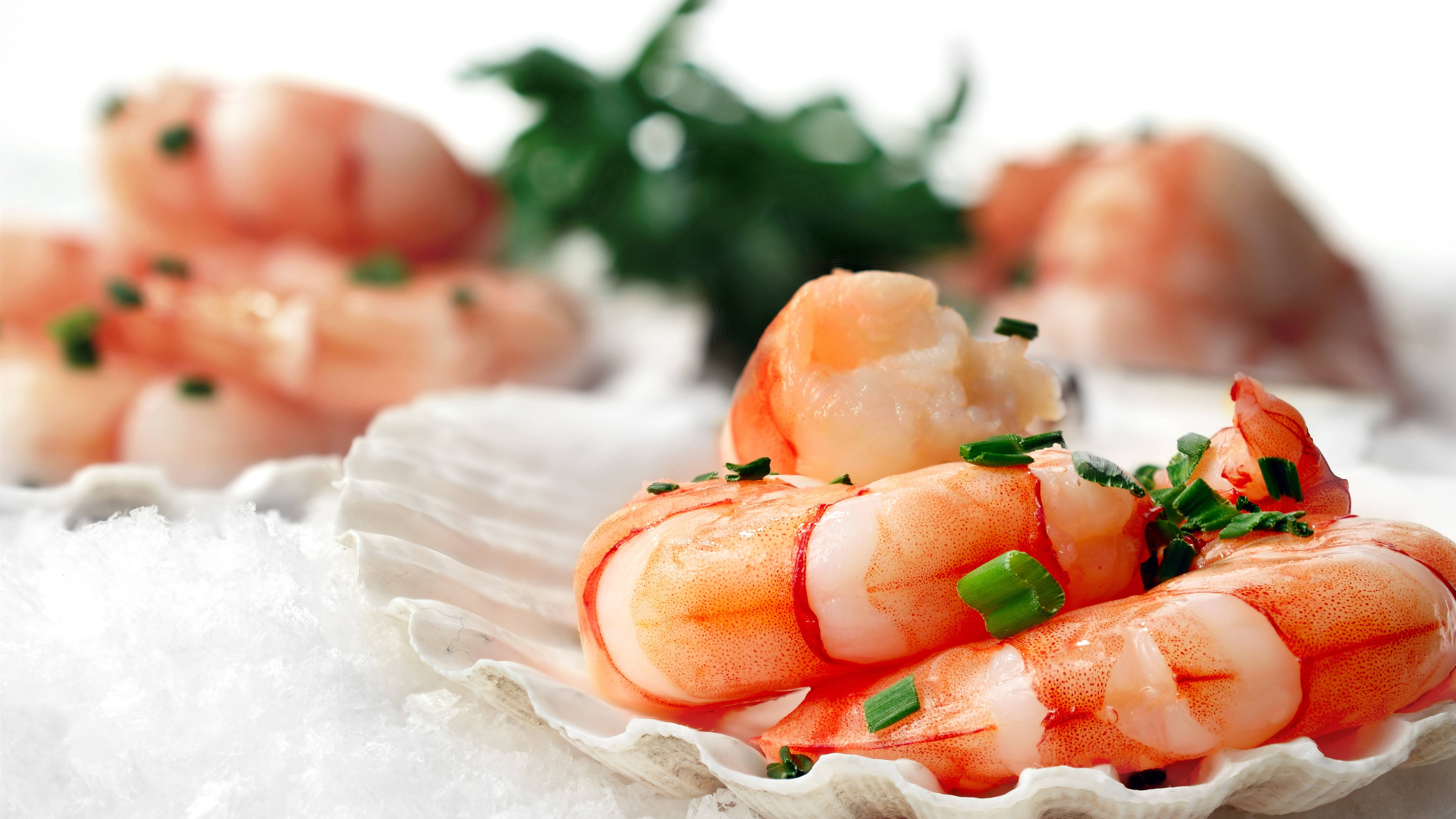 skinless shrimp, white scallop shell, crushed ice, 5K Desktop Wallpaper