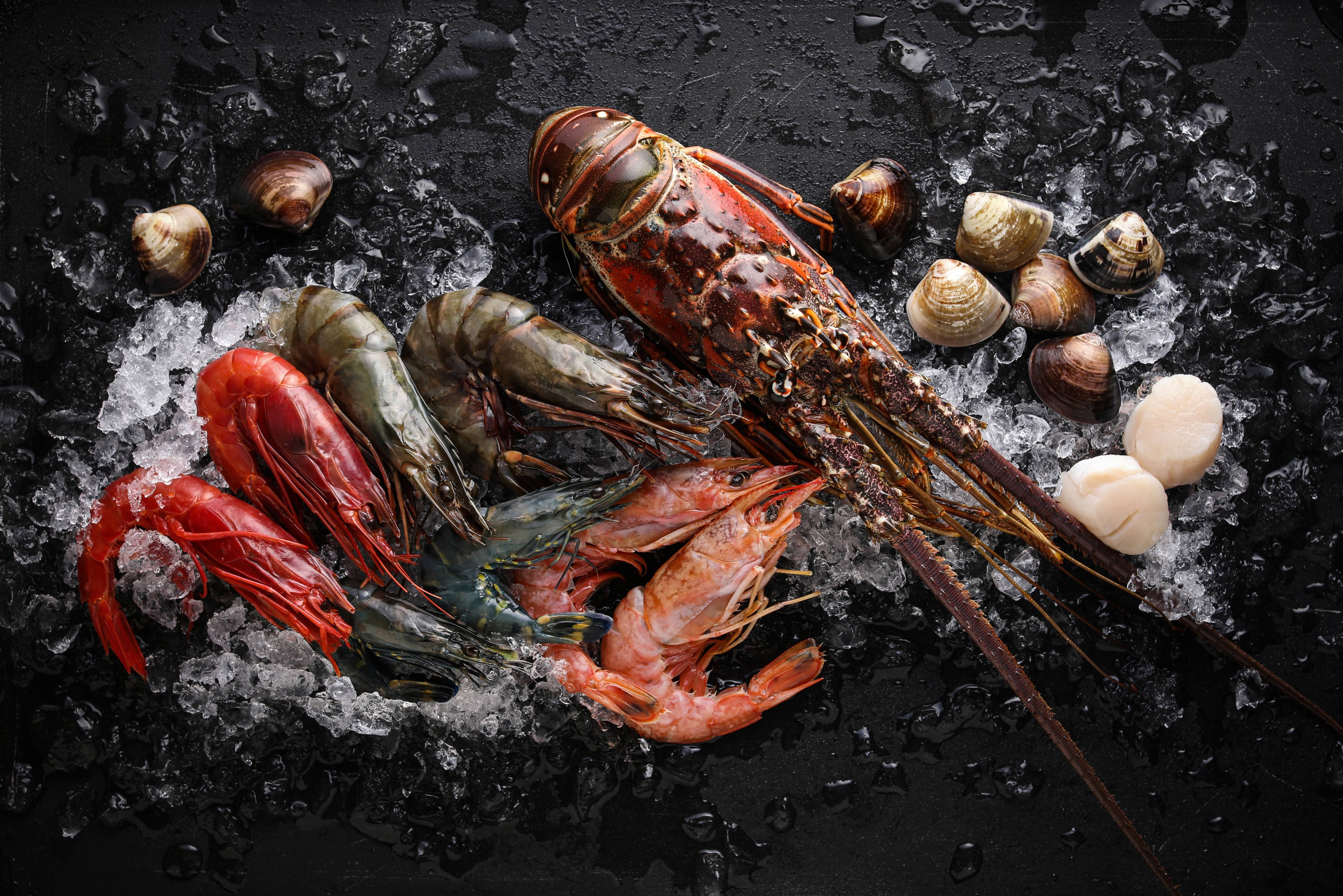 Seafood, lobster, shrimp, 2K Desktop Wallpaper