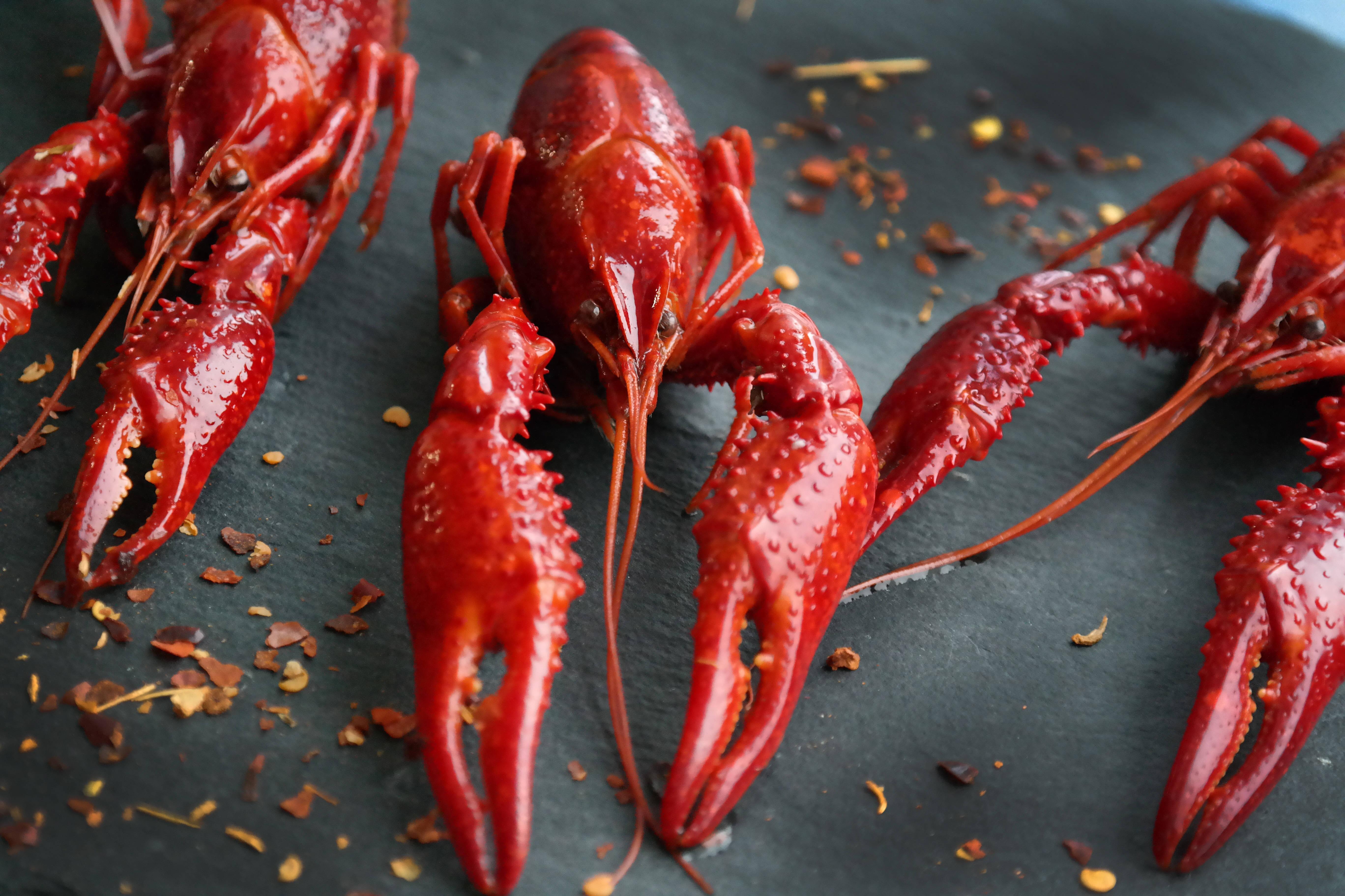 fresh red crayfish, dried leaves, spicy seasoning, 5K Desktop Wallpaper