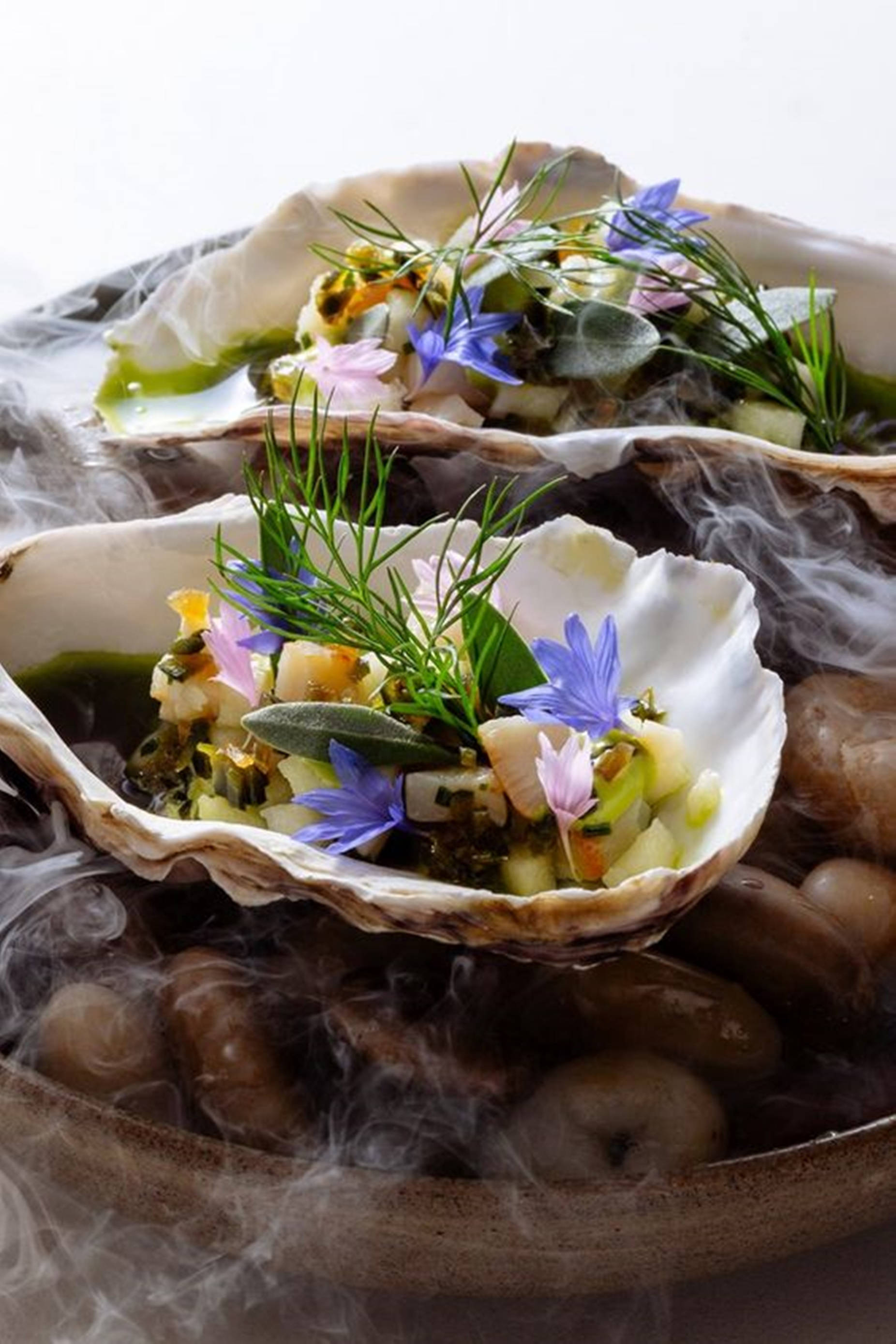 oysters, tiny flower garnish, edible flowers, 2K Phone Wallpaper