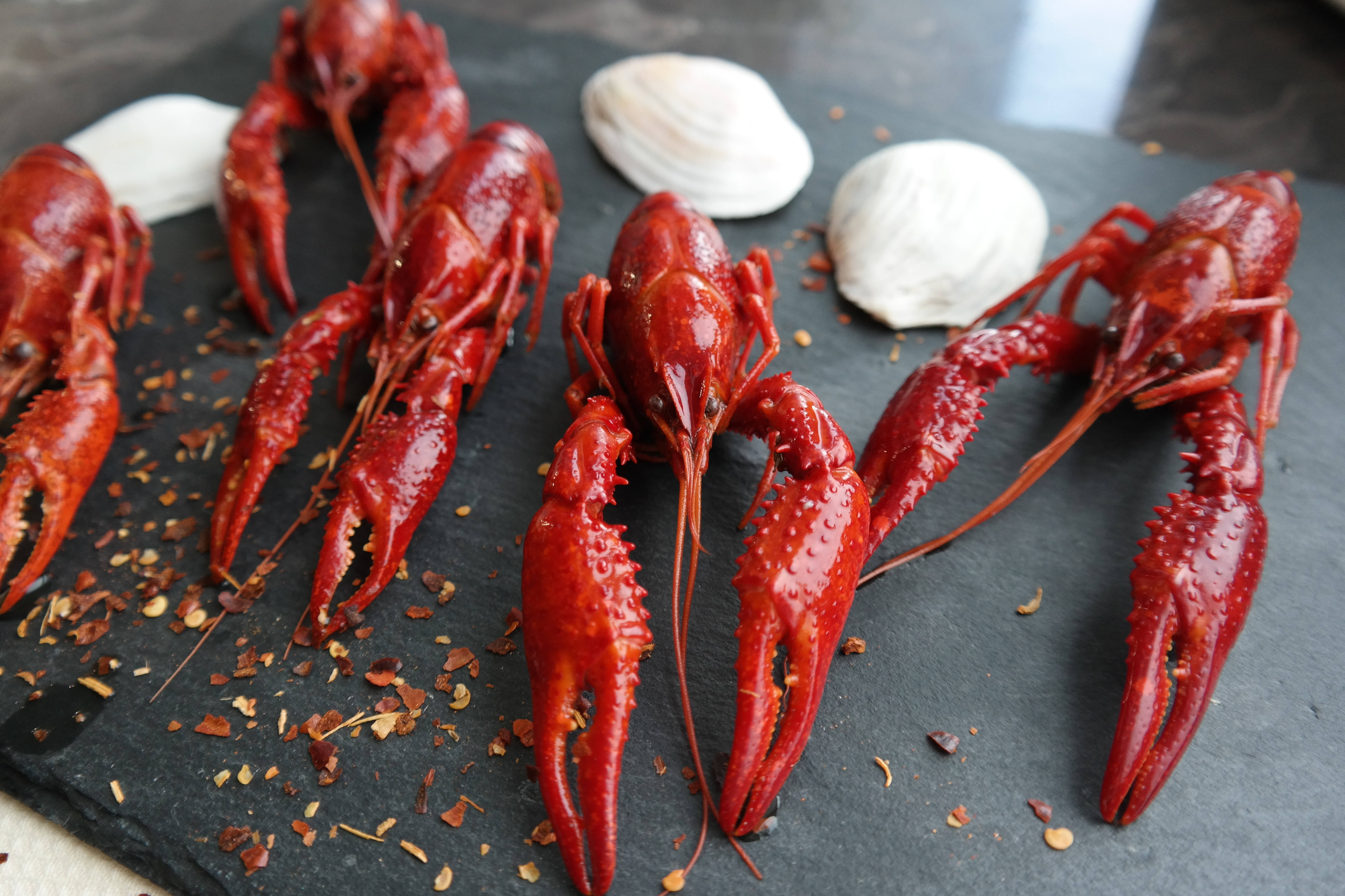 crayfish, seashells, red crawfish tails, 5K Desktop Wallpaper
