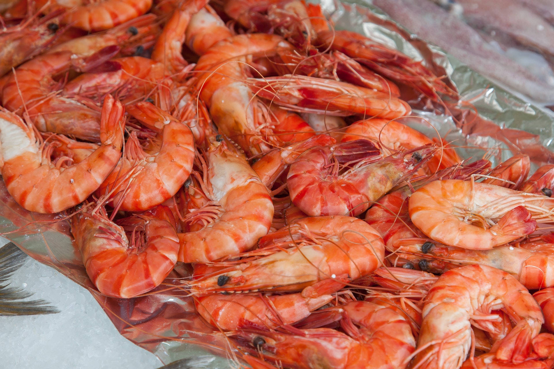 prawns, silver foil, fresh cooked shrimp, Full HD Desktop Wallpaper