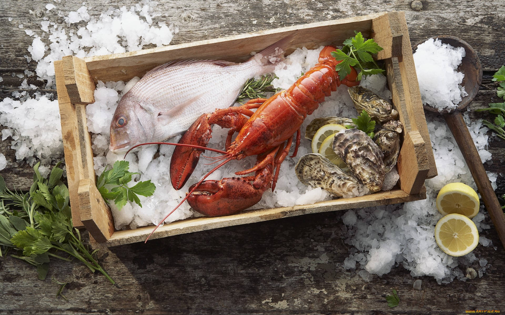 raw lobster, wooden crate, ice, Full HD Desktop Wallpaper