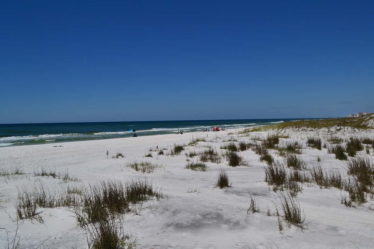 coastal seagrass sandscape, pristine white sand beach, gentle waves, HD Desktop Wallpaper