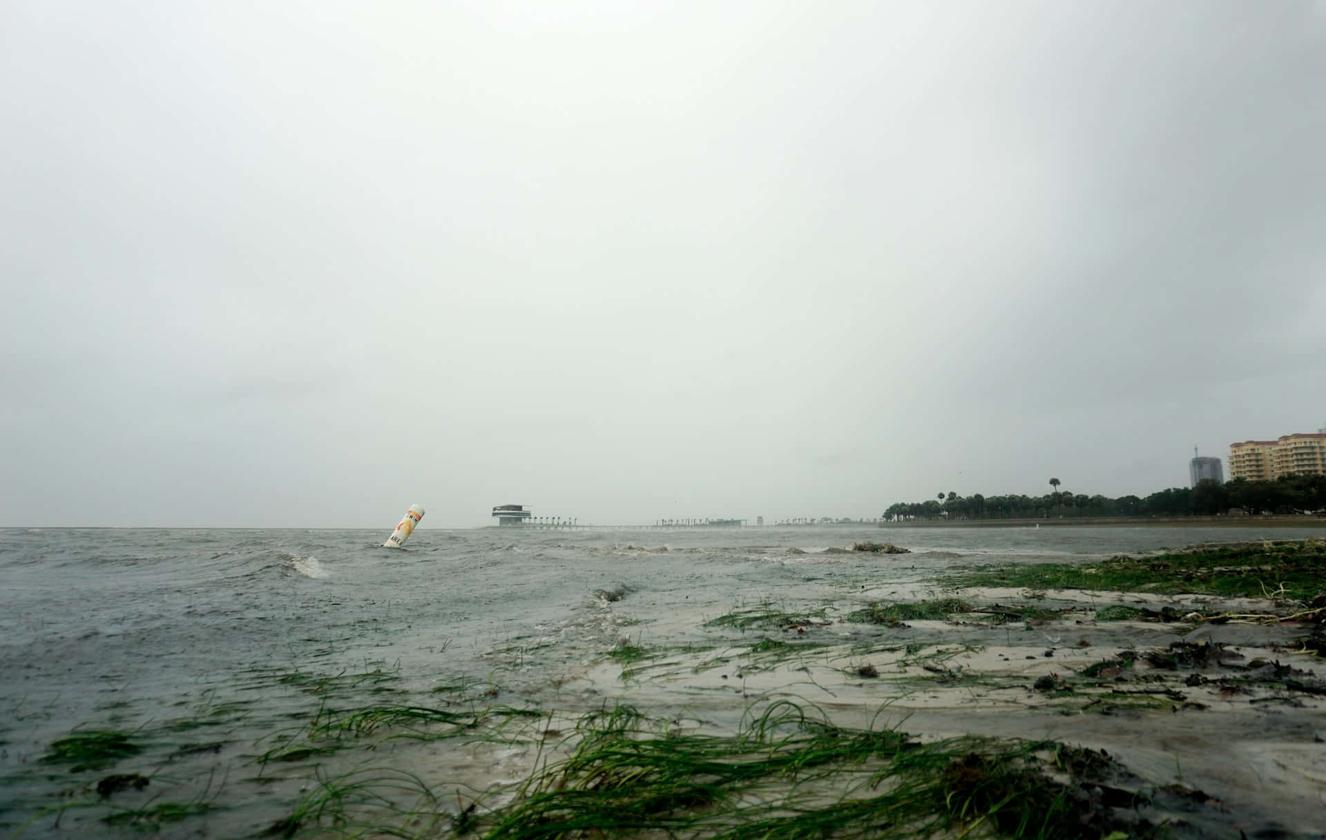 stormy seascapewith seagrass debris, windsurfer, choppy gray waters, Full HD Desktop Wallpaper