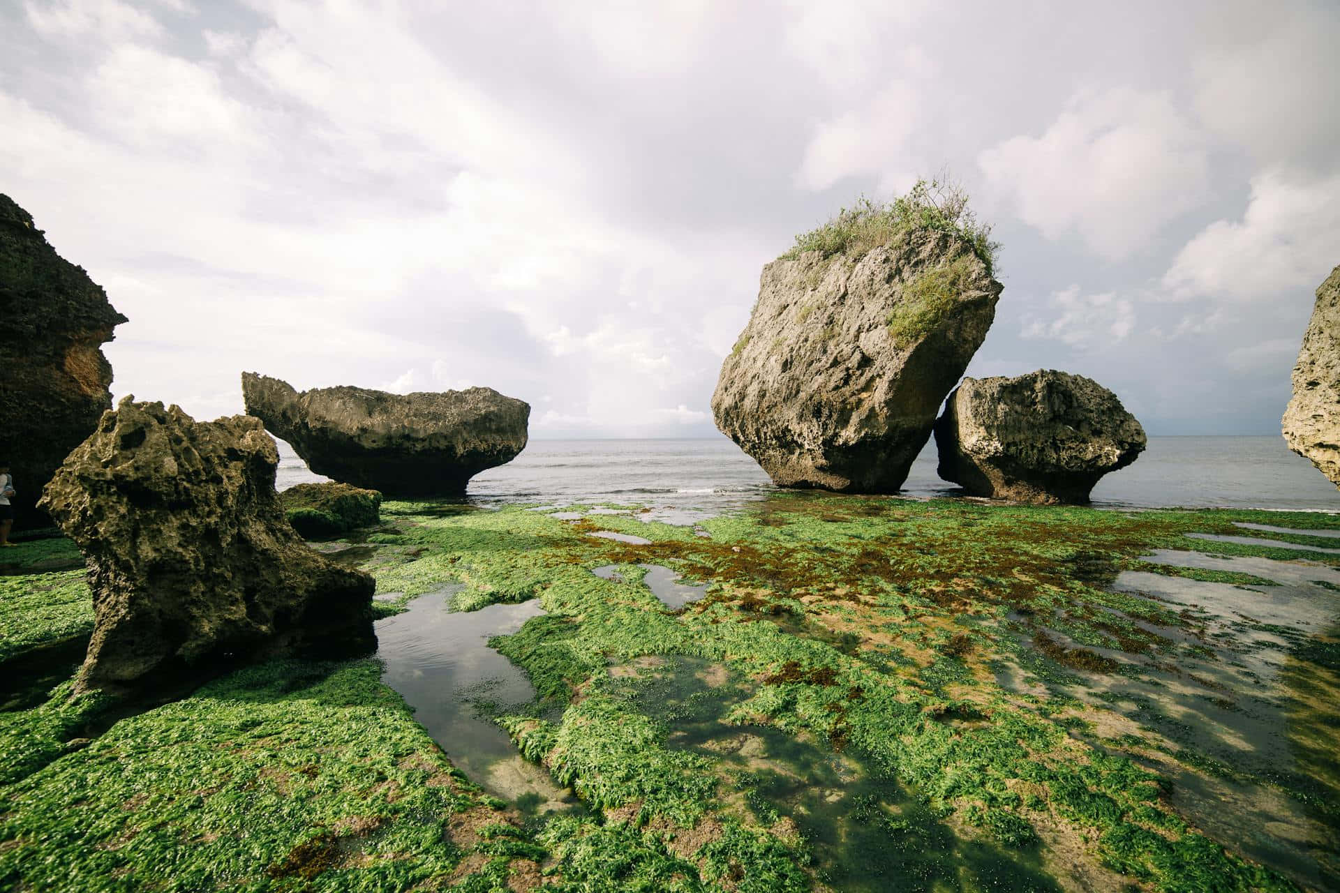 coastal rocks, seagrass, shallow tide pool, Full HD Desktop Wallpaper