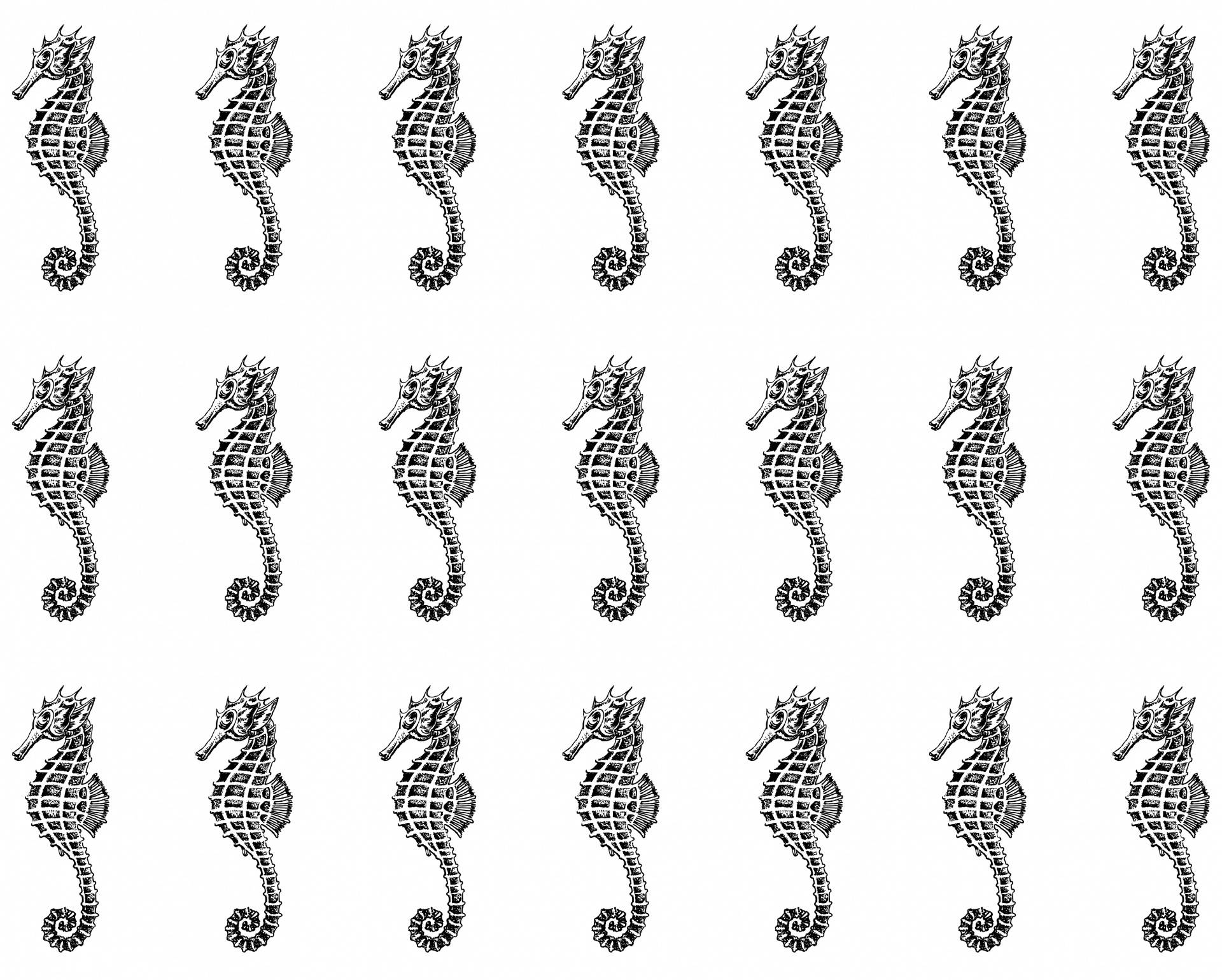 black vintage seahorses, black and white line-art seahorses, plain white background, Full HD Desktop Wallpaper