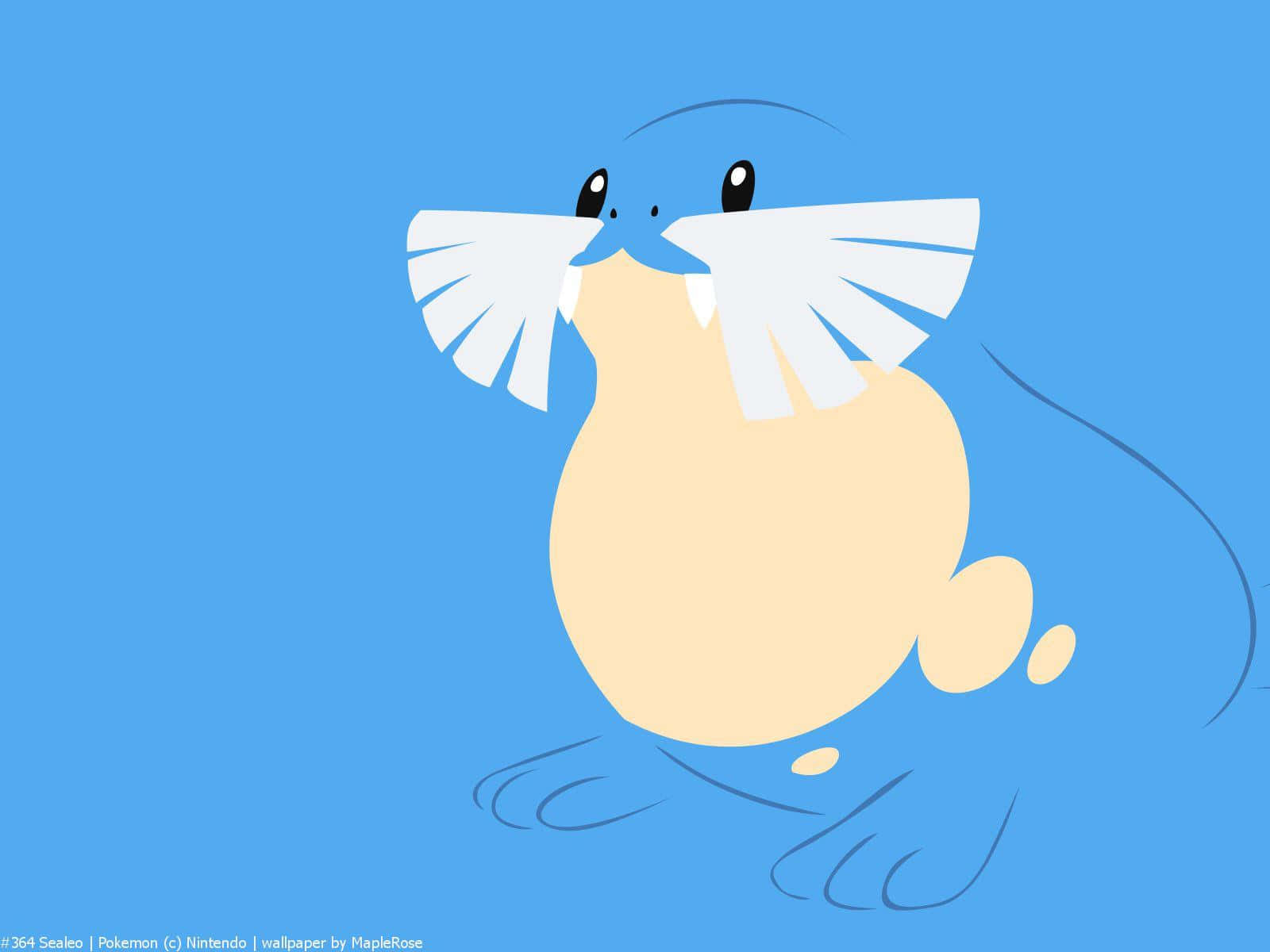 Sealeo, white flippers, cream belly, HD Desktop Wallpaper