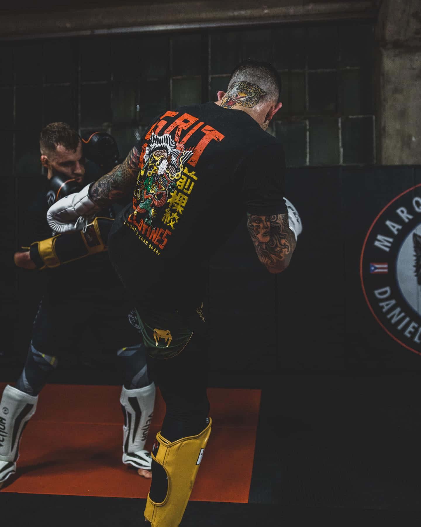 Sean Brady, kickboxing, gritty gym, HD Phone Wallpaper