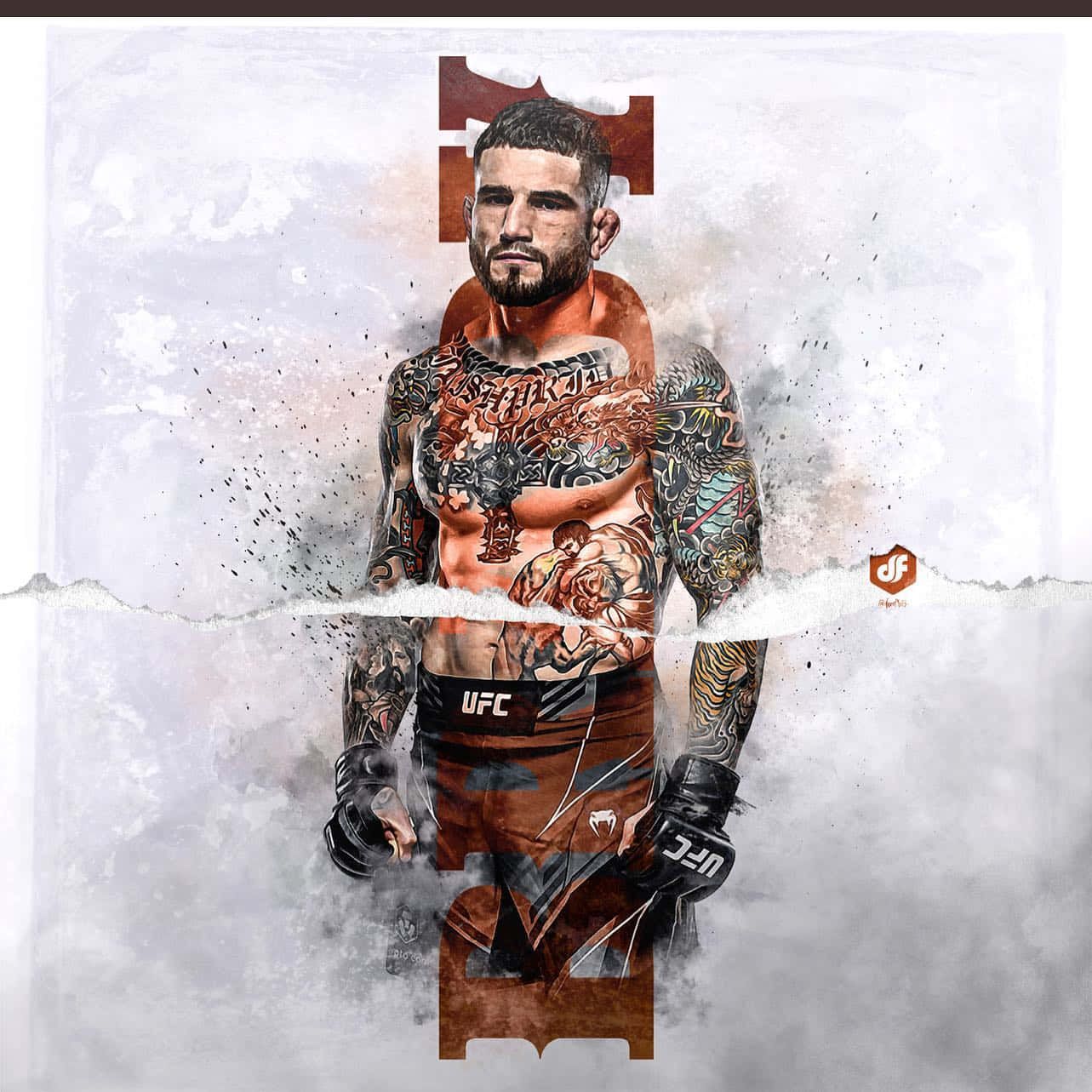 Sean Brady, UFC fighter, bold orange and gray tones, HD Desktop Wallpaper