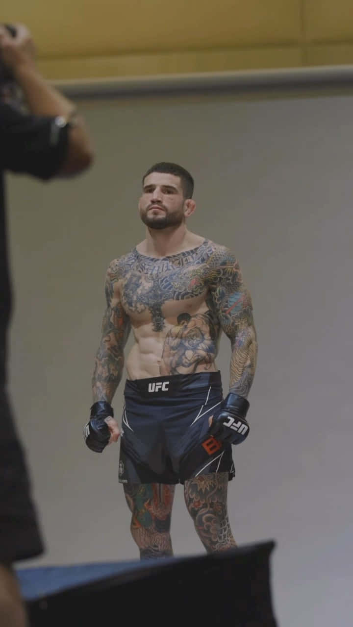 Sean Brady, UFC fighter, black shorts, HD Phone Wallpaper