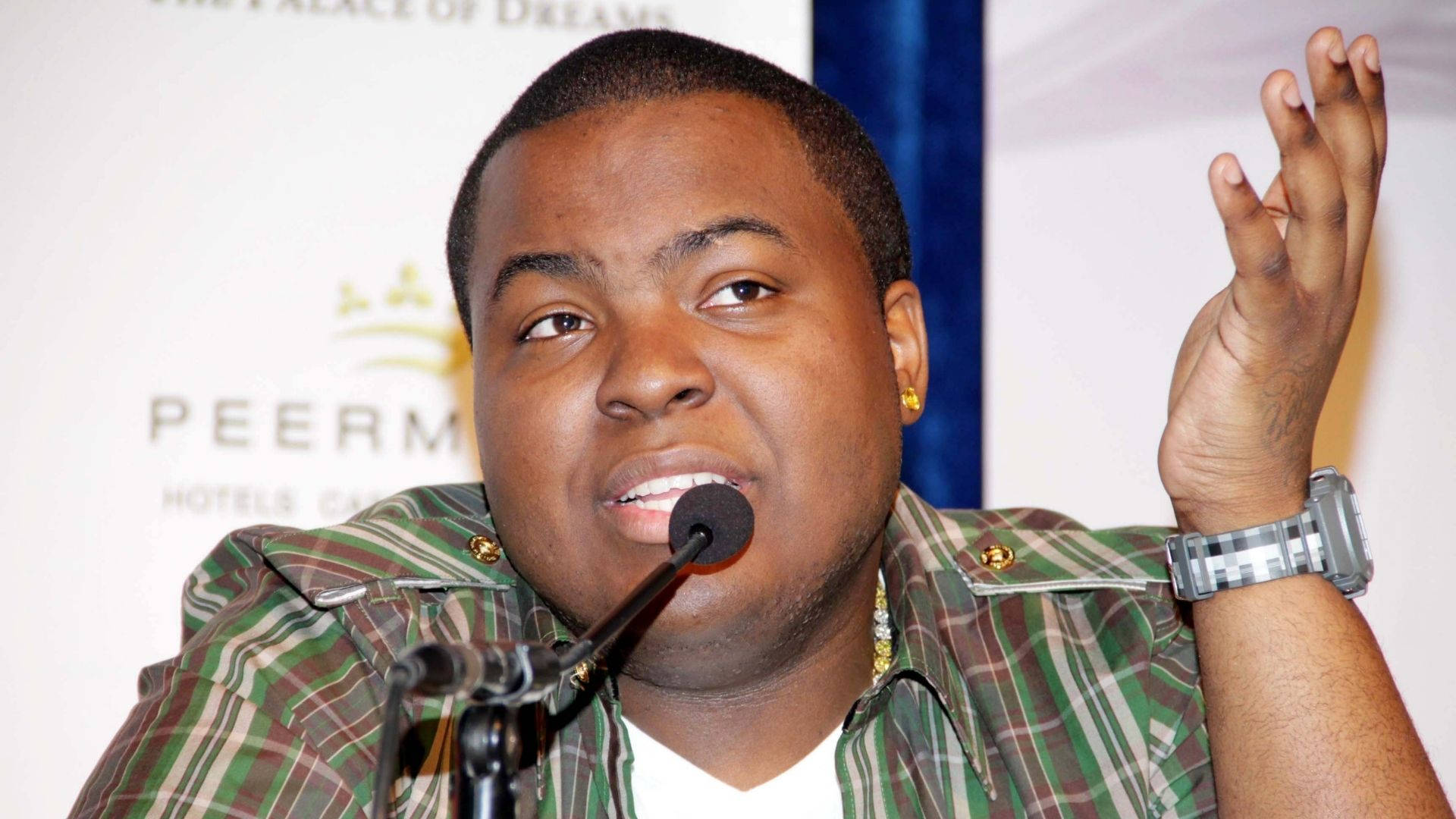 Sean Kingston, green plaid shirt, microphone, Full HD Desktop Wallpaper