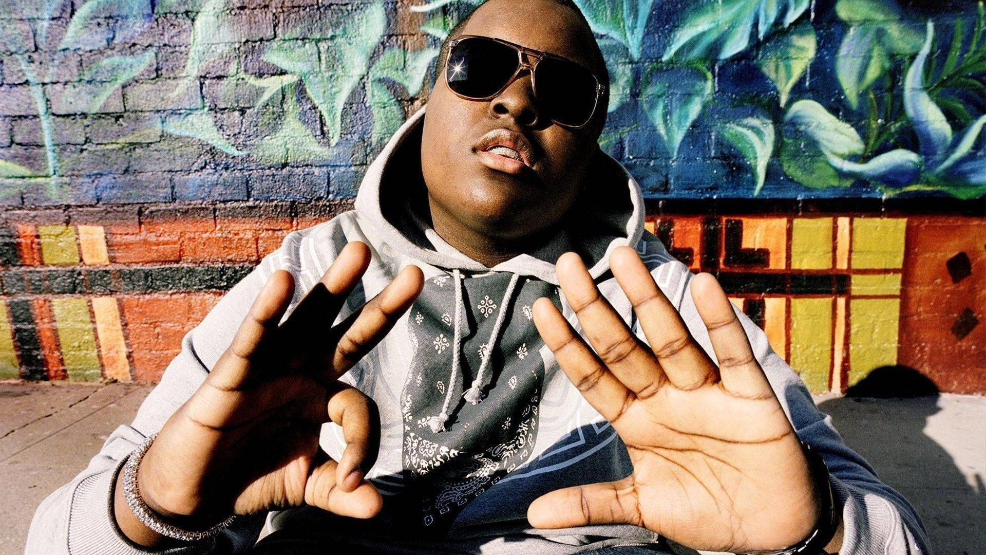 Sean Kingston, sunglasses, hoodie, Full HD Desktop Wallpaper