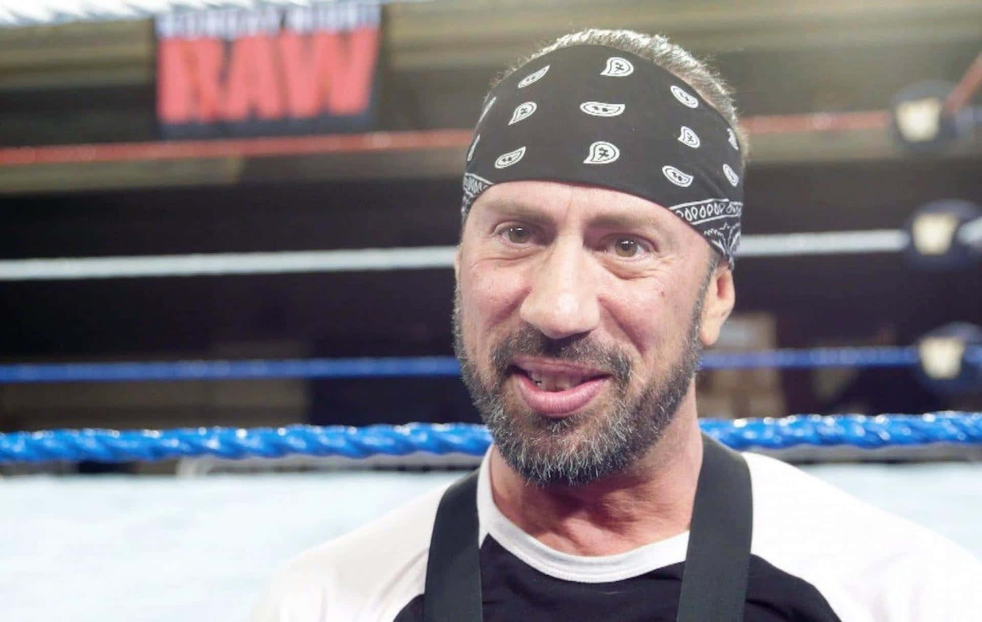 Sean Waltman, wrestler, beard, Full HD Desktop Wallpaper