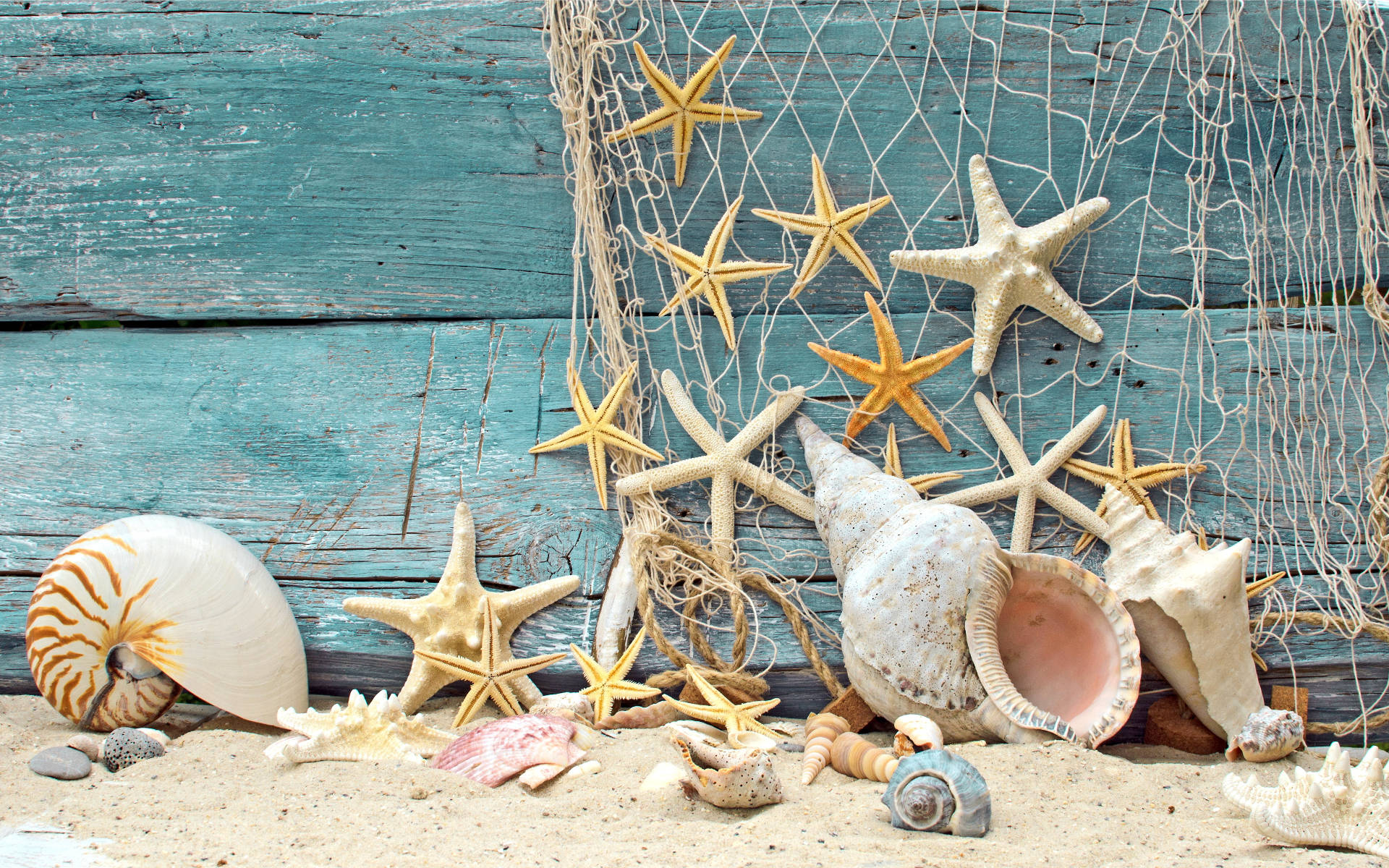 starfish, seashells, sandy ground, Full HD Desktop Wallpaper