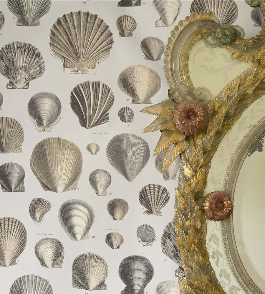 glossy seashells aesthetic art, vintage shell illustrations, ornate golden-framed mirror, SD Phone Wallpaper