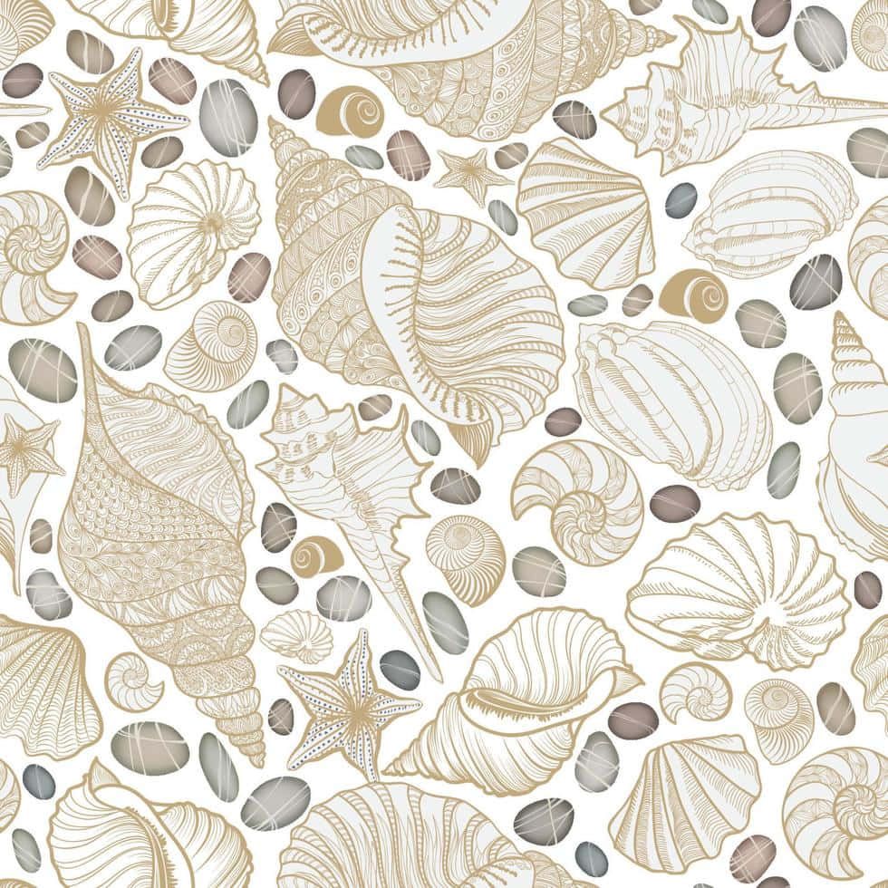 beige aesthetic, seashell art, gold and gray tones, SD Desktop Wallpaper