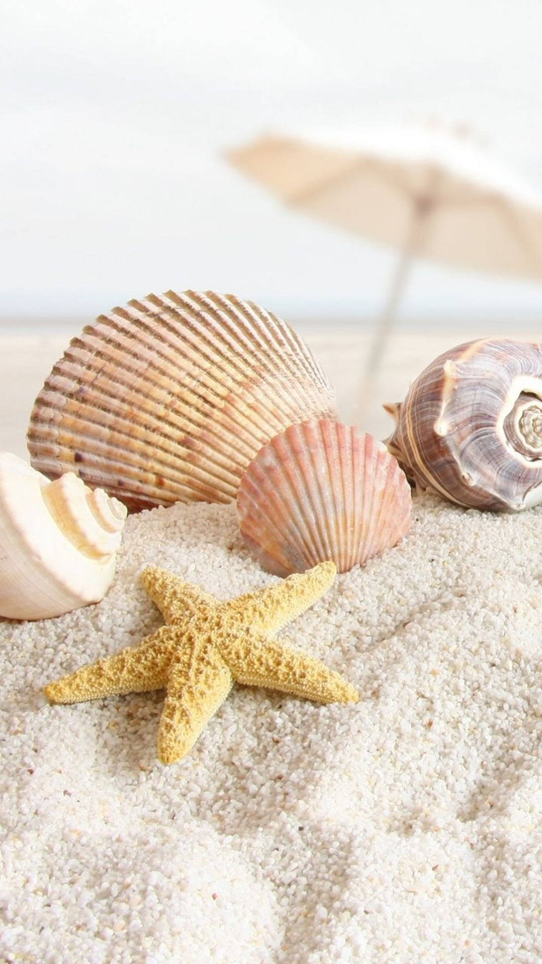iPhone 7, white sand, yellow starfish, Full HD Phone Wallpaper