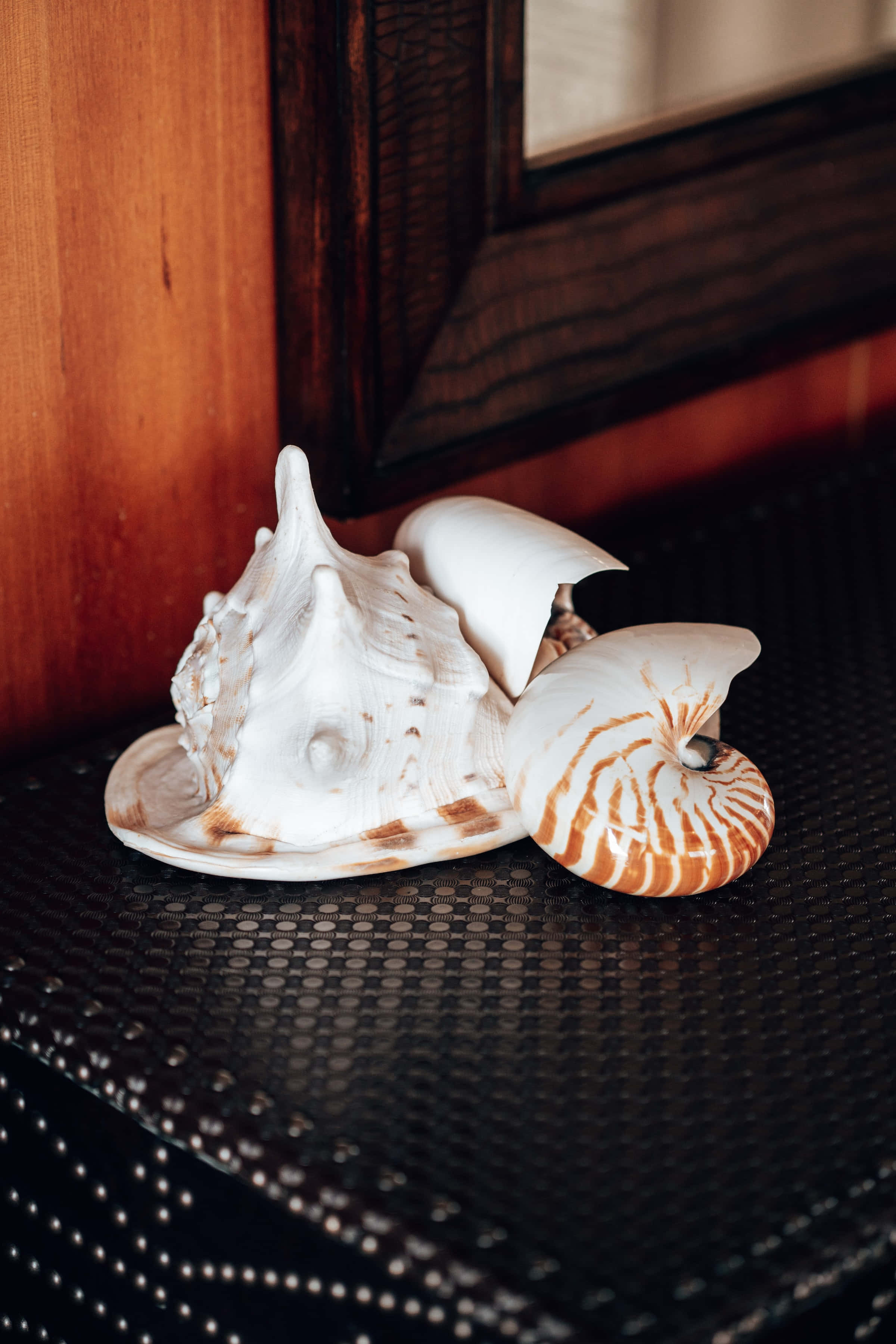 white seashells, black perforated surface, warm wooden paneling, 2K Phone Wallpaper