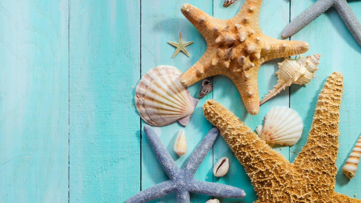 starfish, seashells, weathered turquoise wooden surface, HD Desktop Wallpaper