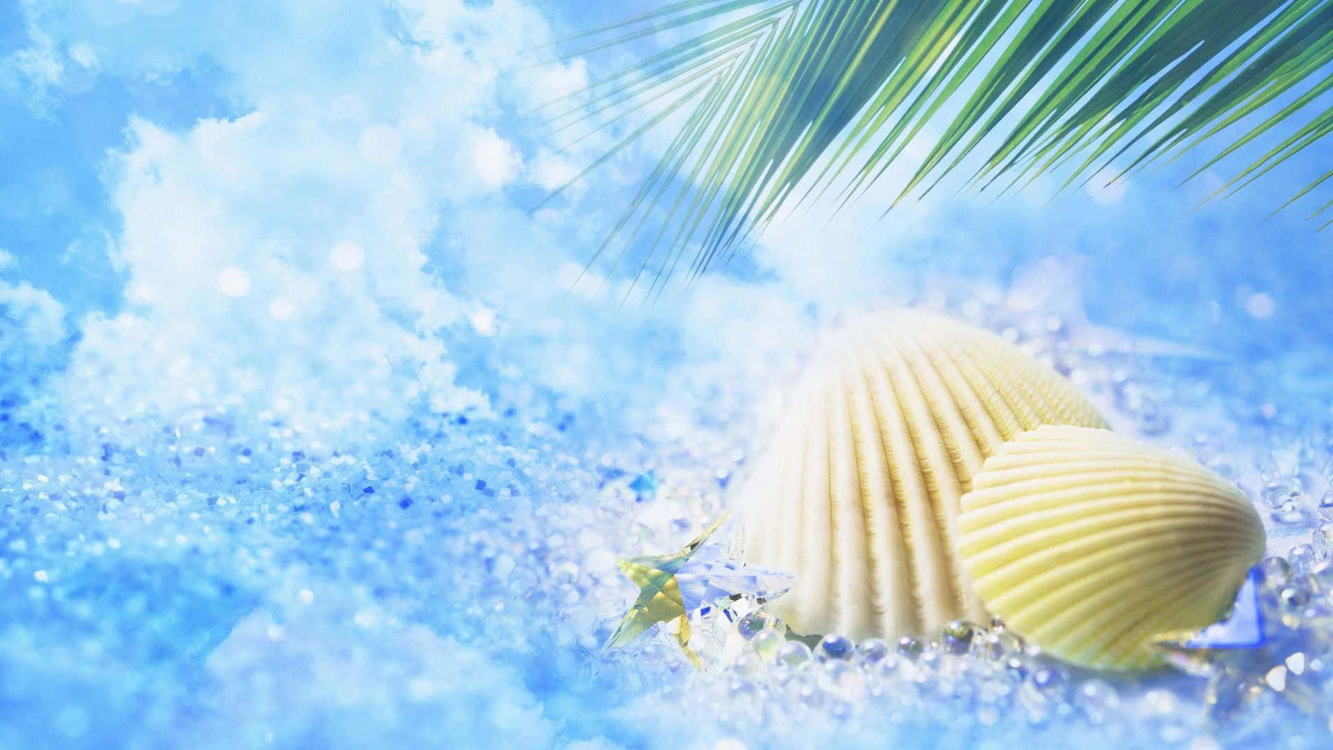 creamy seashells, starfish, sparkling blue sand, Full HD Desktop Wallpaper
