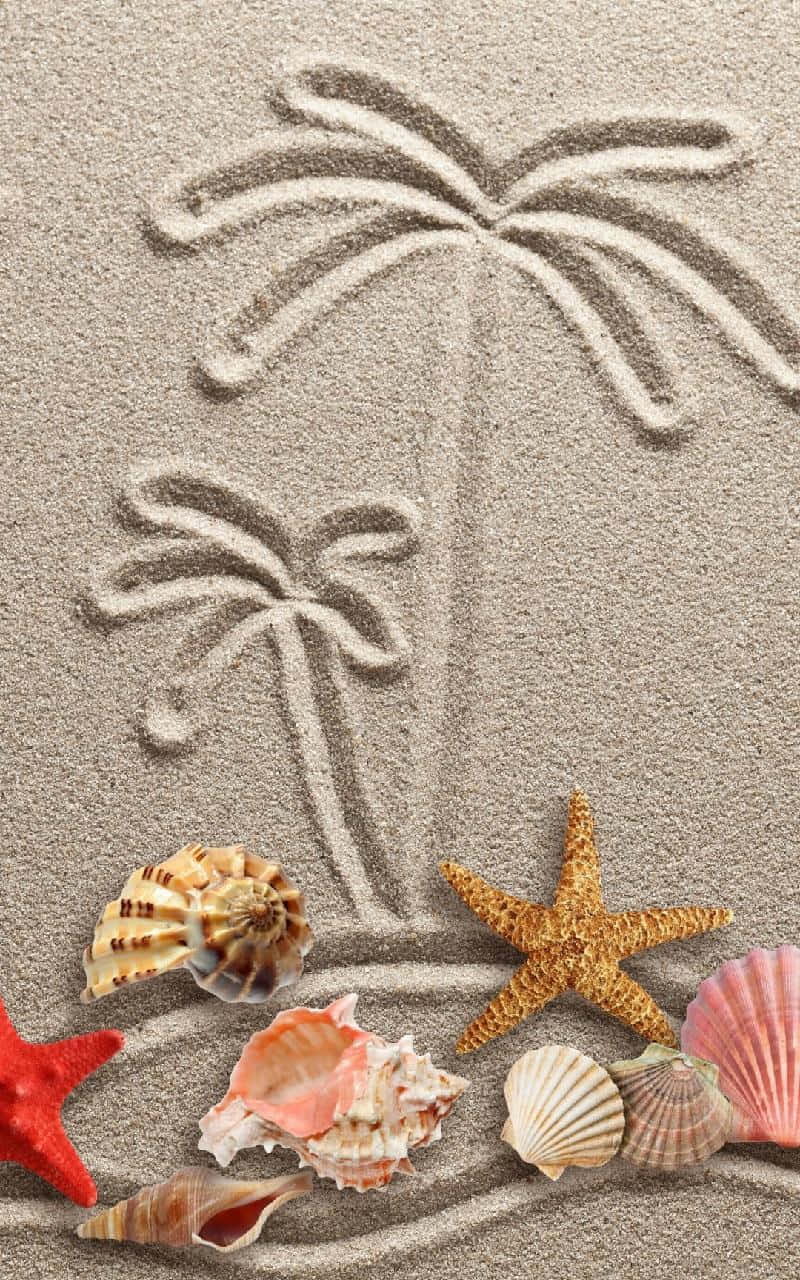 palm tree drawing on the sand, colorful seashells, starfish, HD Phone Wallpaper