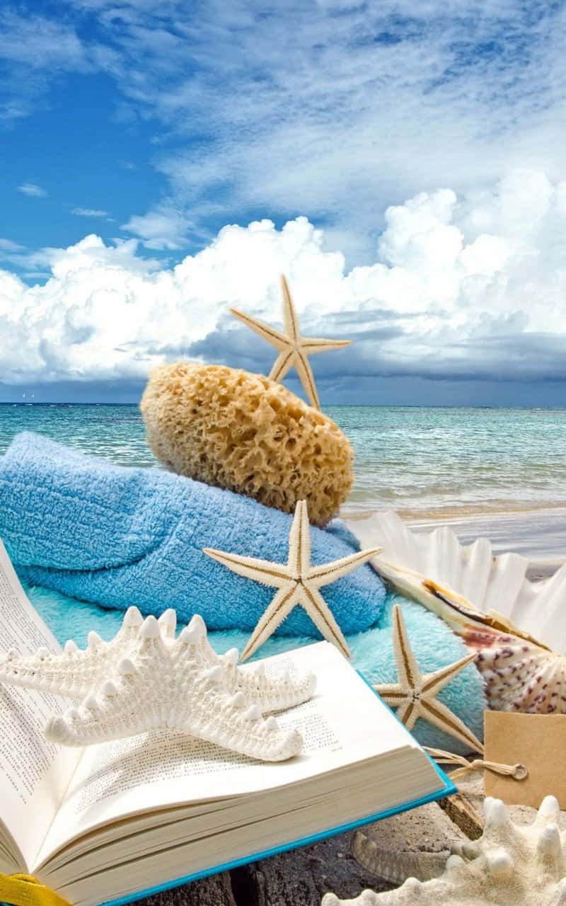 Summer Beach iPhone, seashells, blue towel, HD Phone Wallpaper
