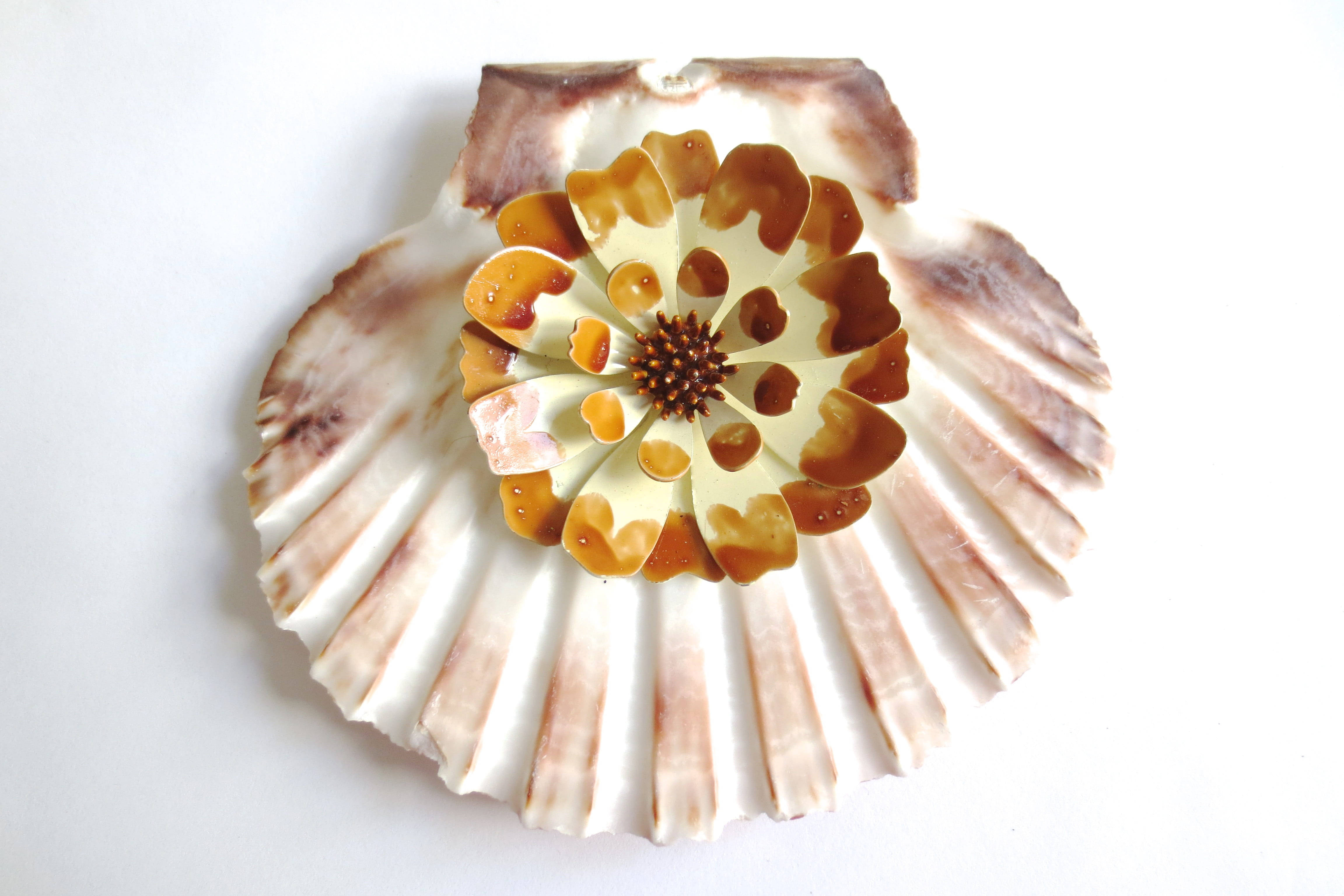 scallops shell, flower design, brown and cream, 4K Desktop Wallpaper