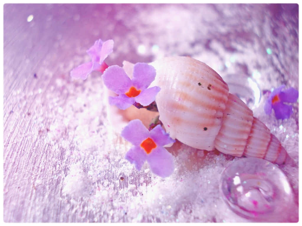 Seashell, light purple aesthetic, sparkling pink sand, SD Desktop Wallpaper