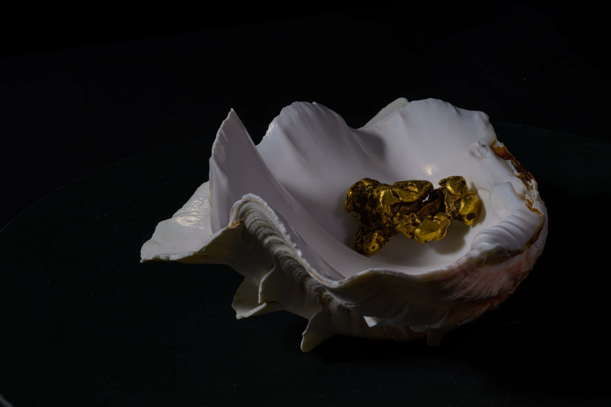 seashell, gold nuggets, luminous gold, Full HD Desktop Wallpaper