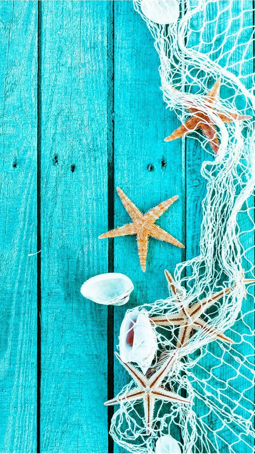 iPhone, teal, starfish, Full HD Phone Wallpaper