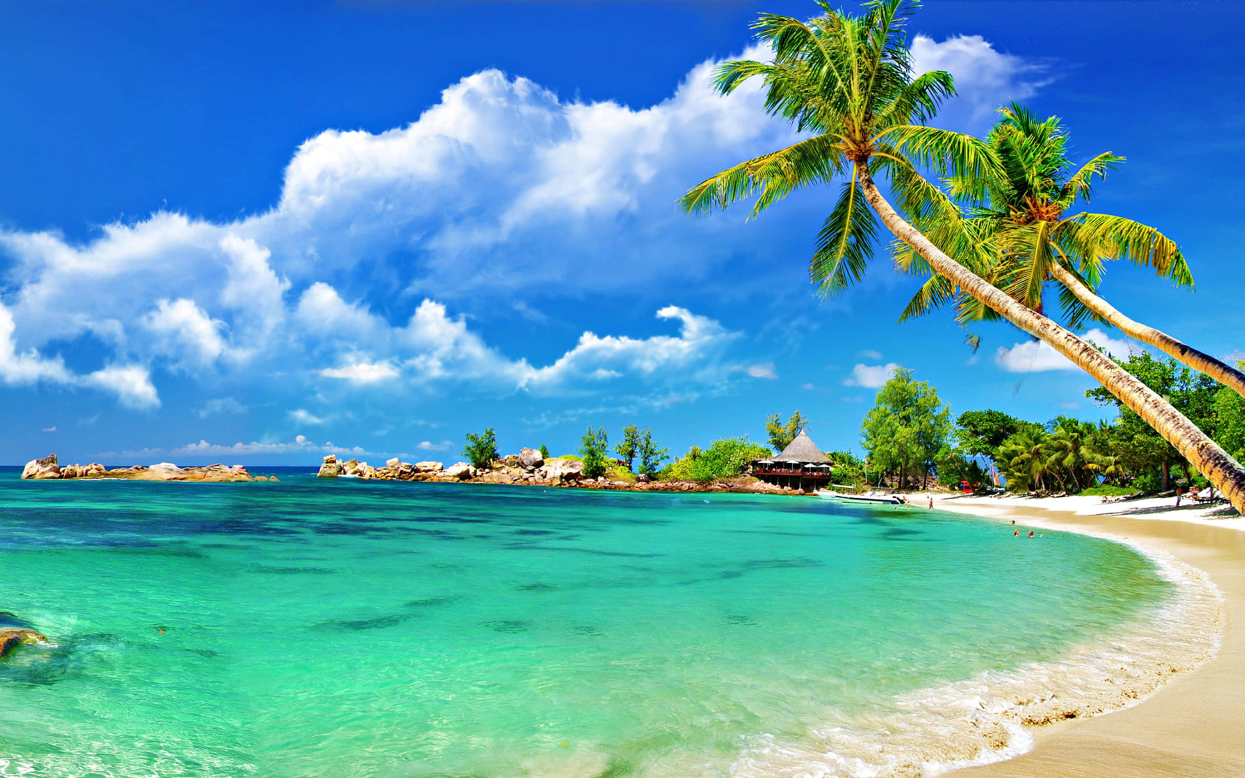 spectacular sunset, seashore, tropical beach, 2K Desktop Wallpaper