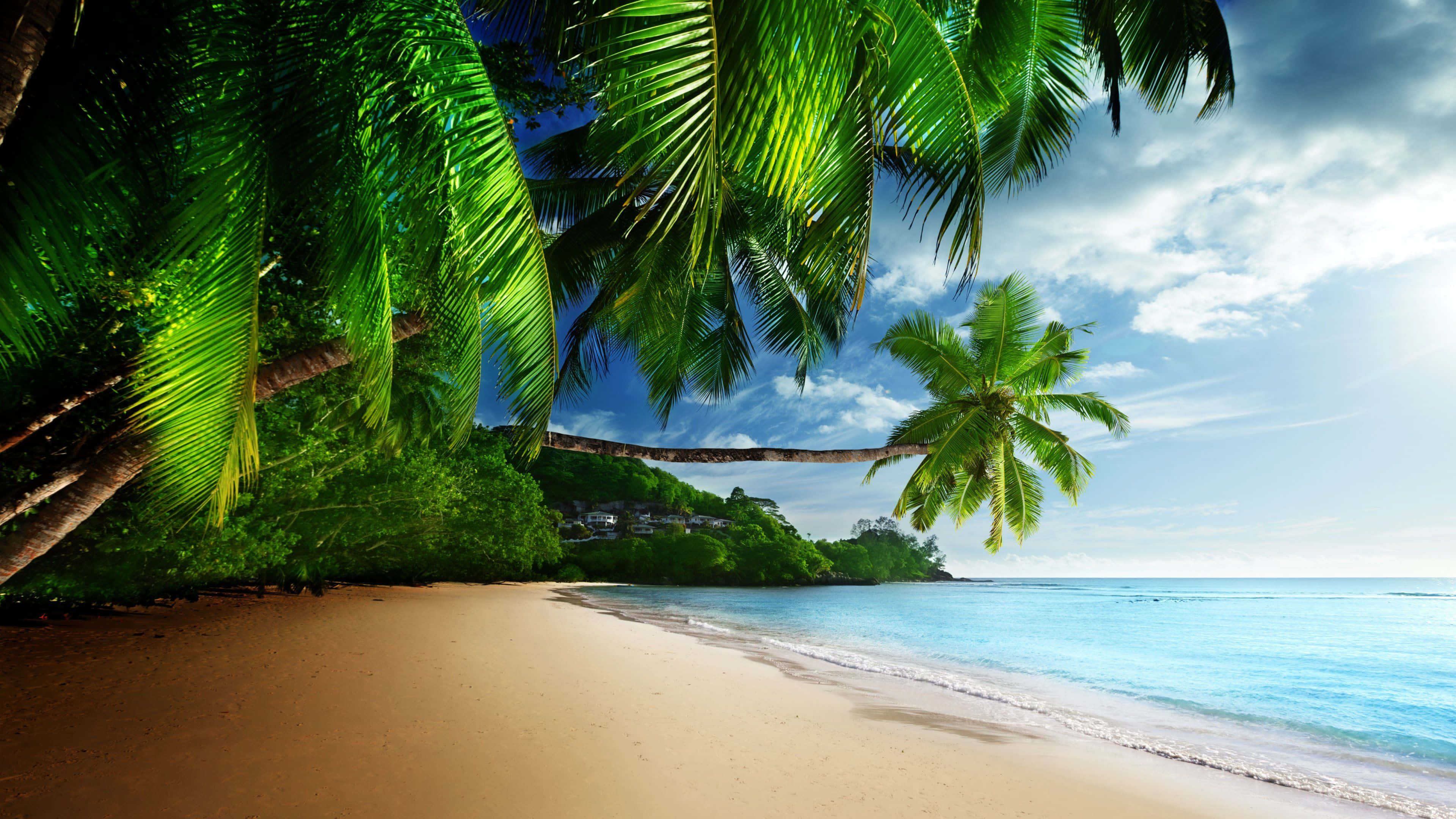 Seashore, golden sandy beach, turquoise ocean, 4K Desktop Wallpaper