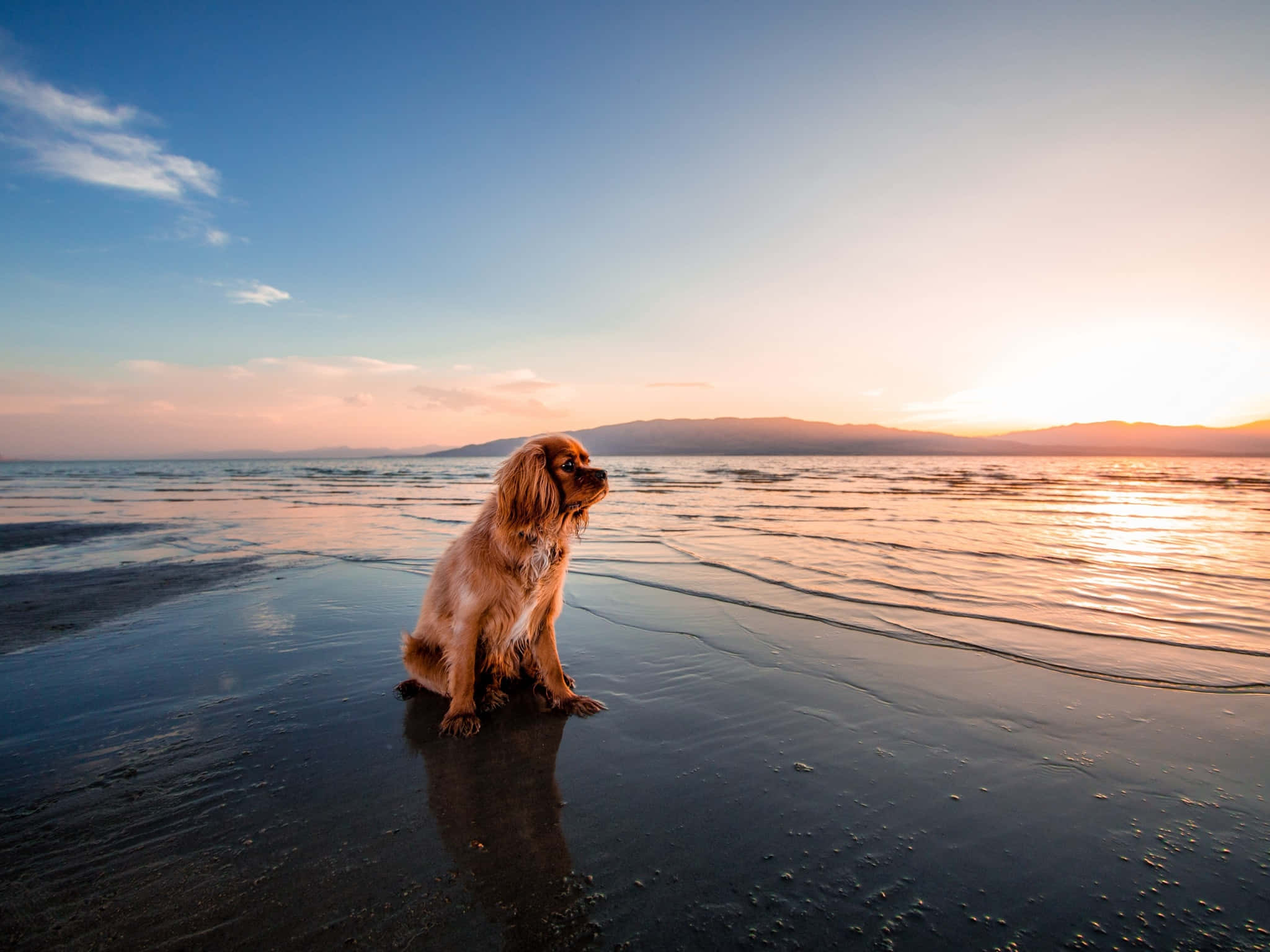 Seashore, sunset, wet sand, Full HD Desktop Wallpaper