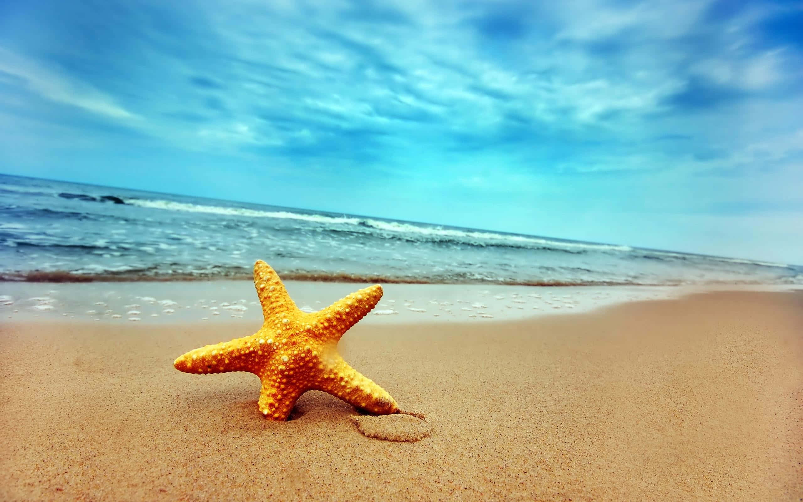 Seashore, sunset, golden sand, 2K Desktop Wallpaper