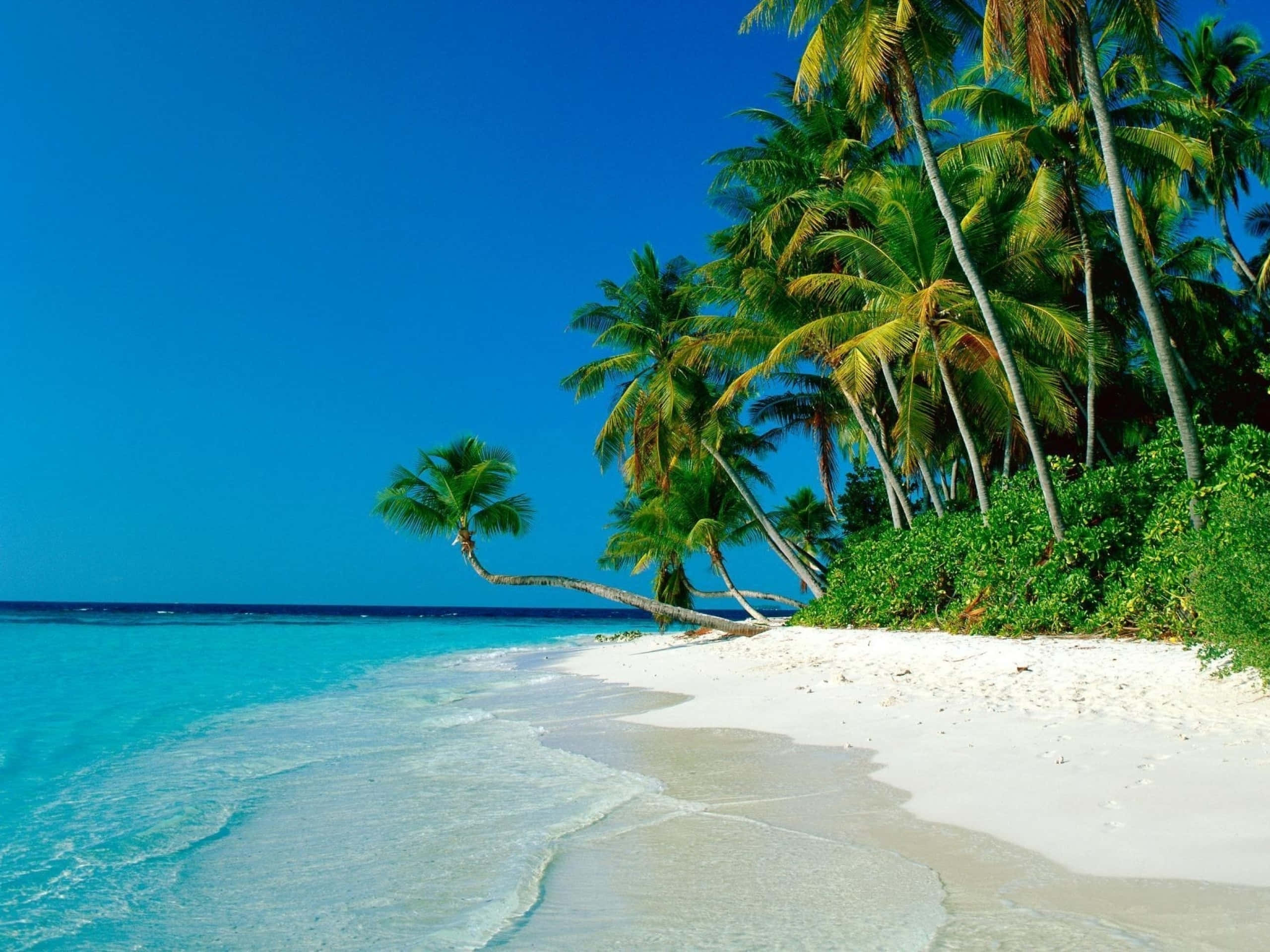 Golden Seashore Sunset, Turquoise waves, pristine white sand beach, 2K Desktop Wallpaper