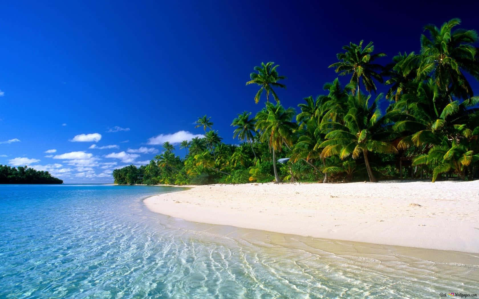 Seashore, tropical beach, white sand, HD Desktop Wallpaper