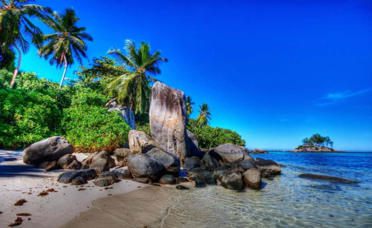 Seashore, Sunset, Tropical beach, SD Desktop Wallpaper