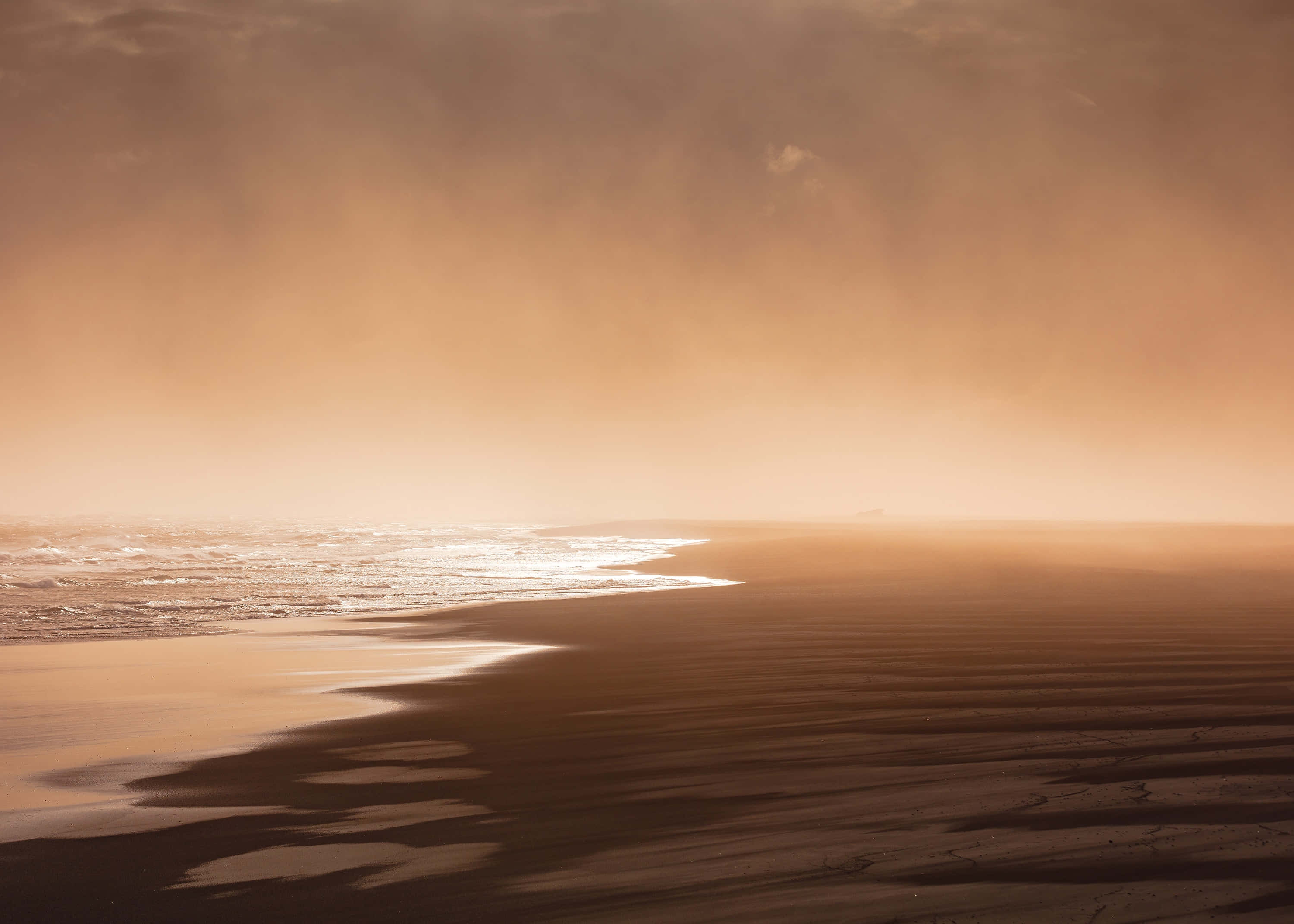 Seashore, sunset, golden sand, 2K Desktop Wallpaper