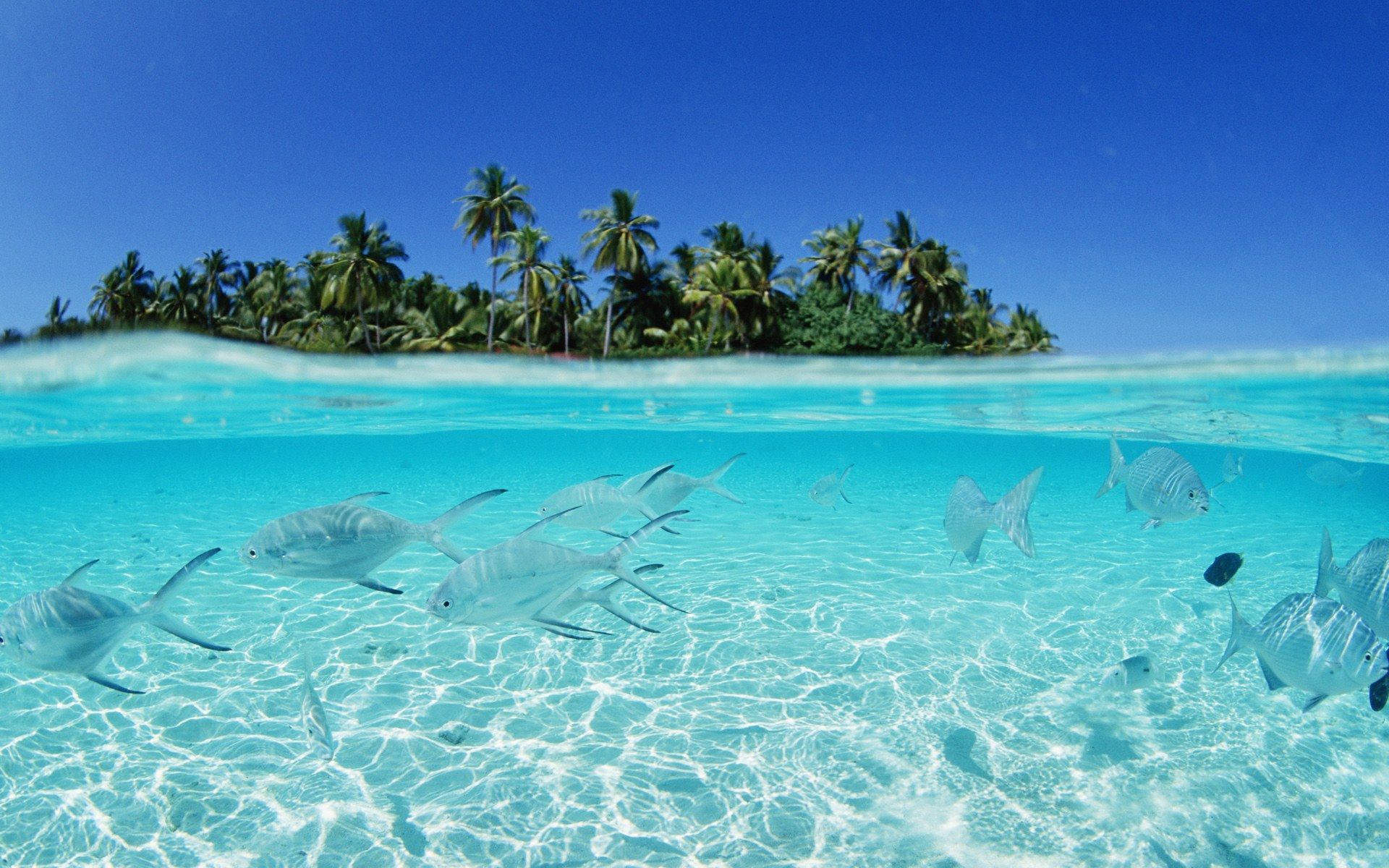 crystal clear waters, turquoise sand, palm-fringed tropical island, Full HD Desktop Wallpaper